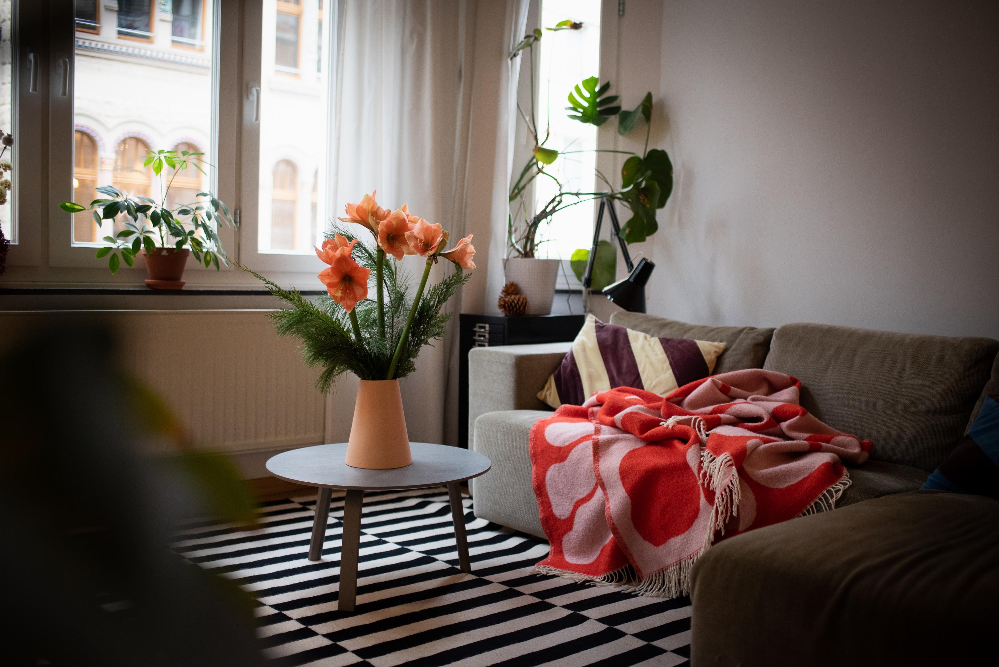 Kuscheldienstag! #wohnzimmer #kuschelecke #sofa #decke #amaryllis #cozyplace