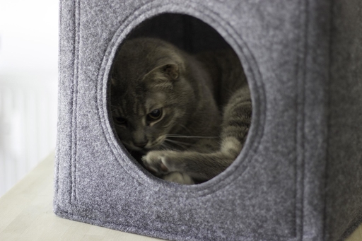 Katzenklo • Bilder & Ideen • COUCH