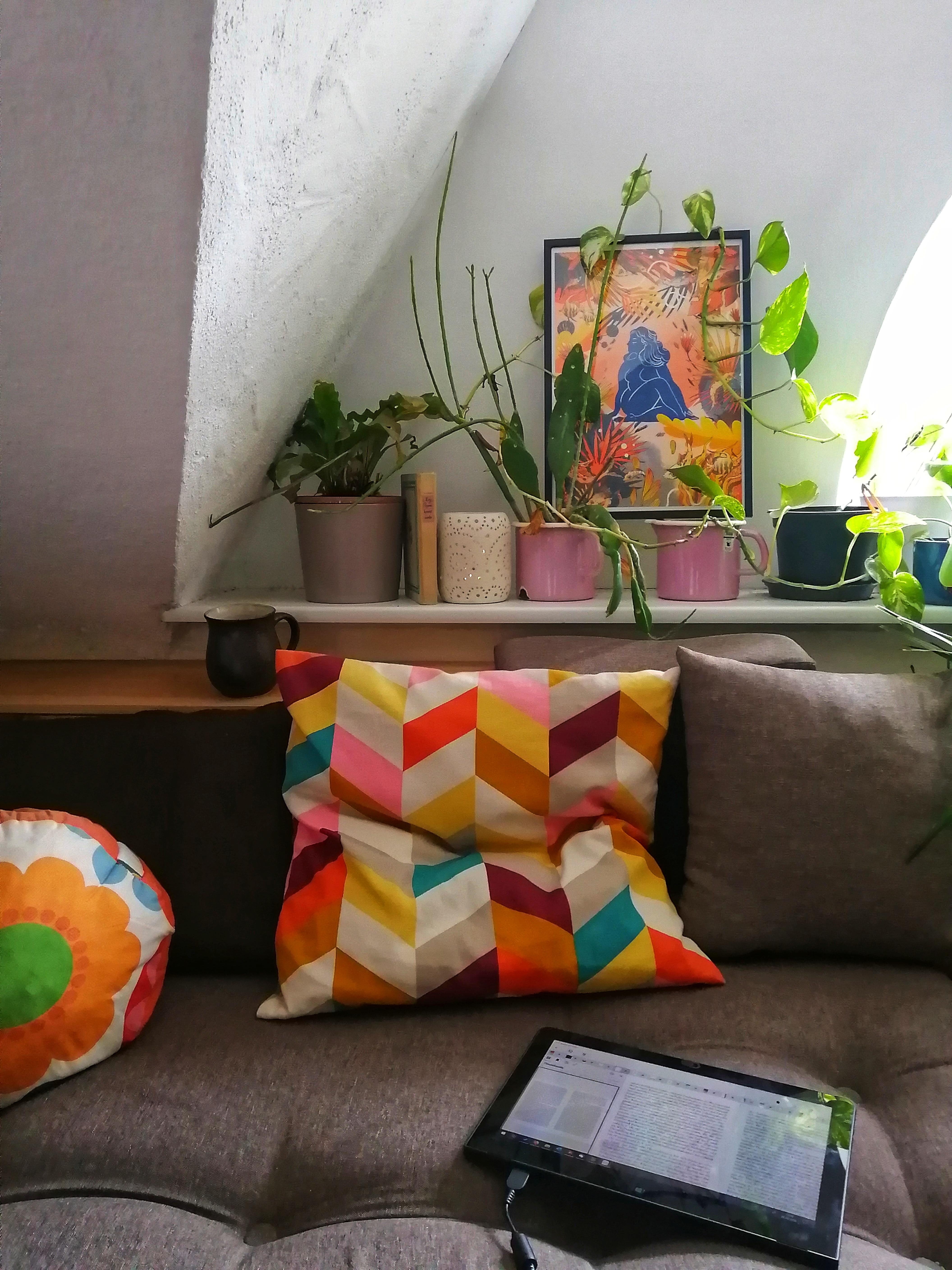 Kuscheliger Recherche-Samstag.
#lieblingsecke #wohnzimmer #couch #altbau #art #urbanjungle