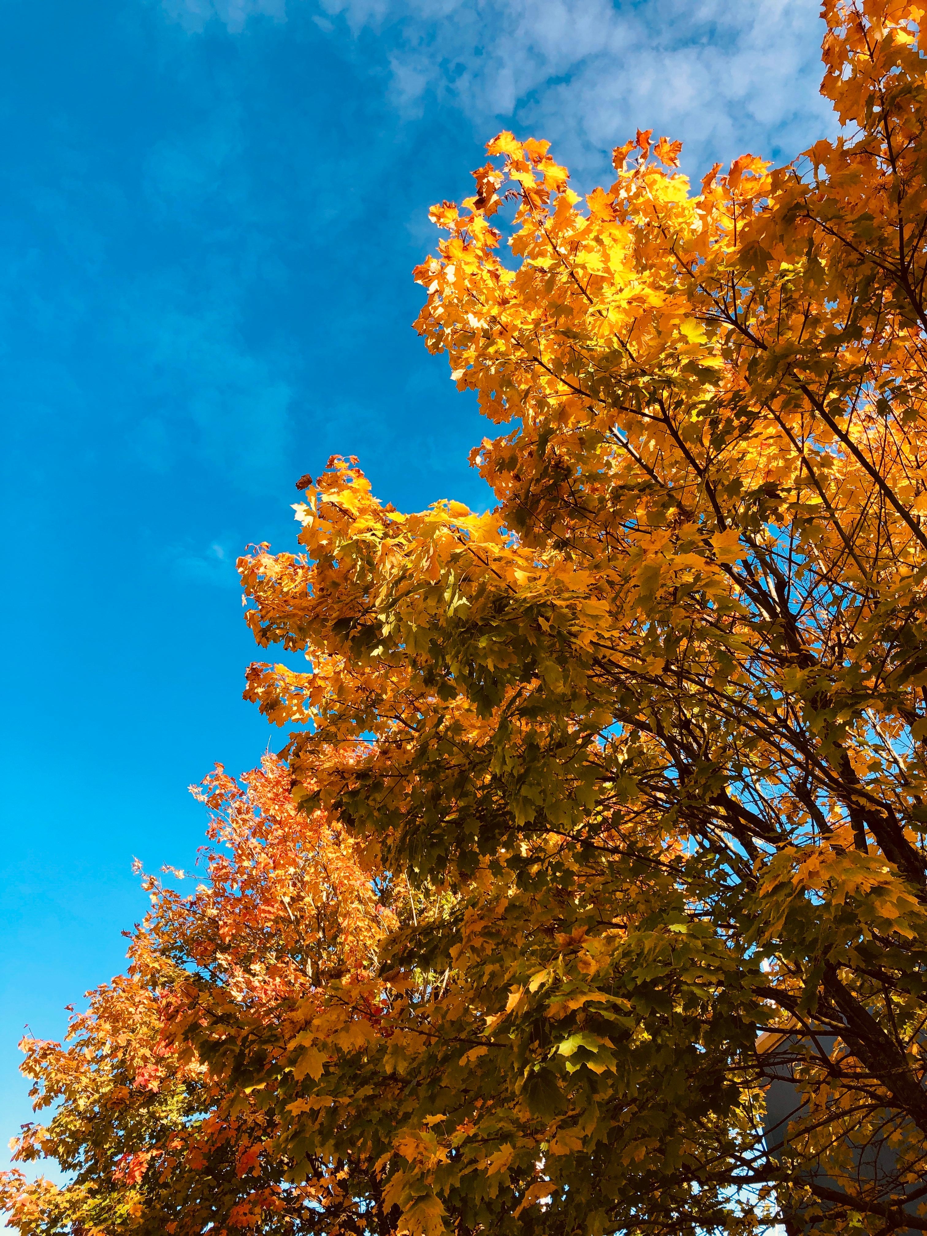 La terre est bleue comme une orange. 
#autumn #forevermyfavouriteseason