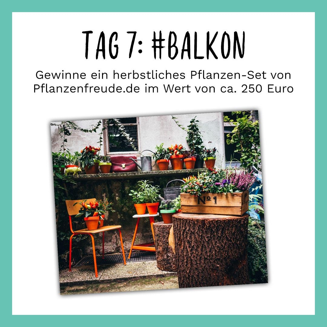 Lade dein Foto mit den Hashtags #balkon #livingchallenge hoch und gewinne mit etwas Glück ein herbstliches Pflanzen-Set!
