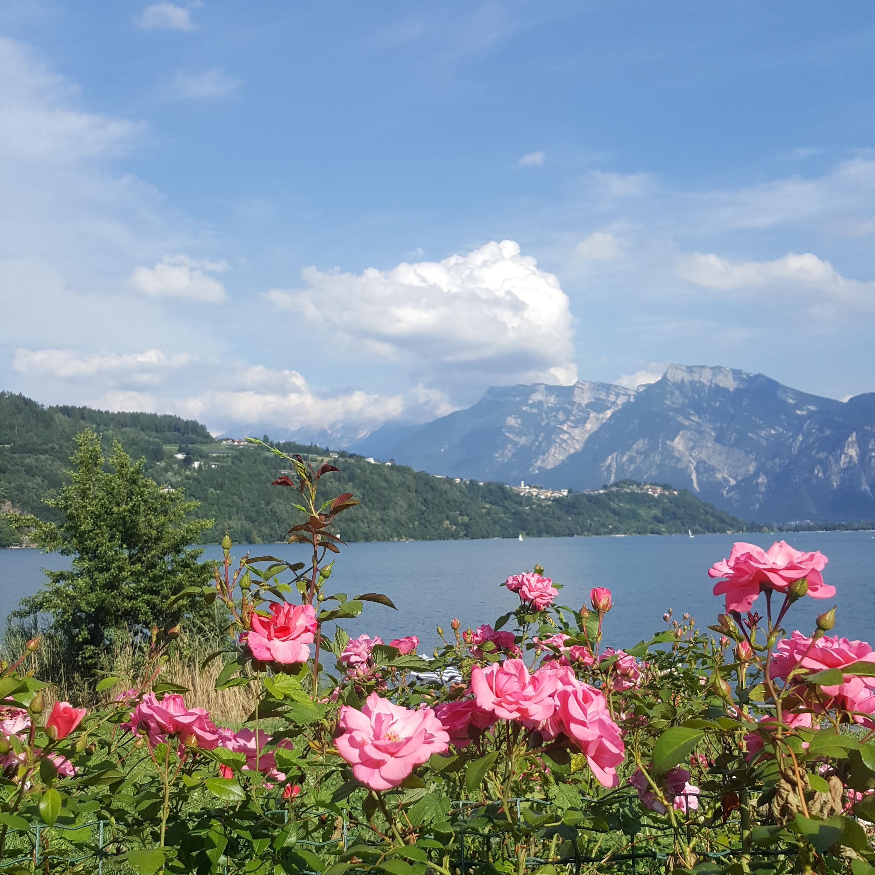 Lago di Caldonazzo, Trentino. 

#urlaub #sommer #italien #reisen 