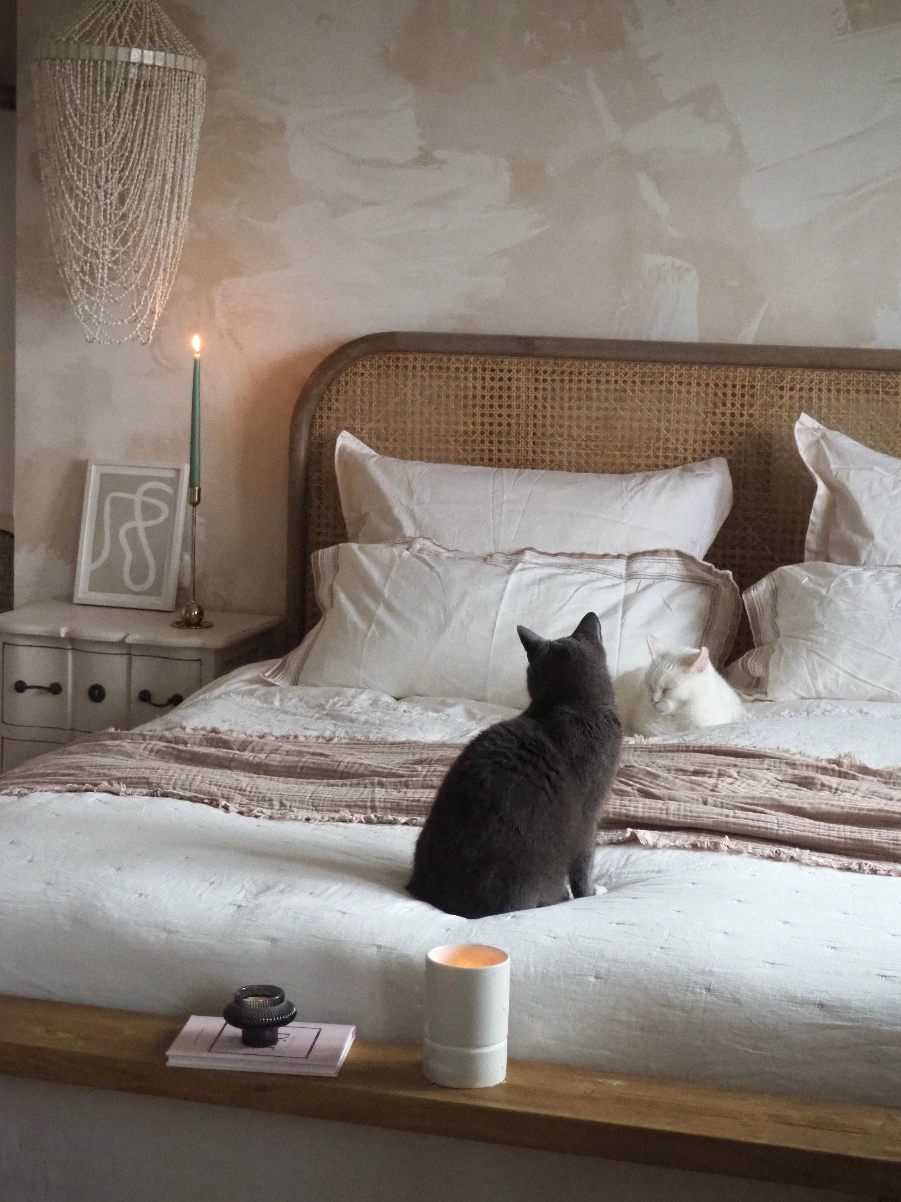 #lampe #hängeleuchte #livingchallenge #COUCHstyle #couchmagazin