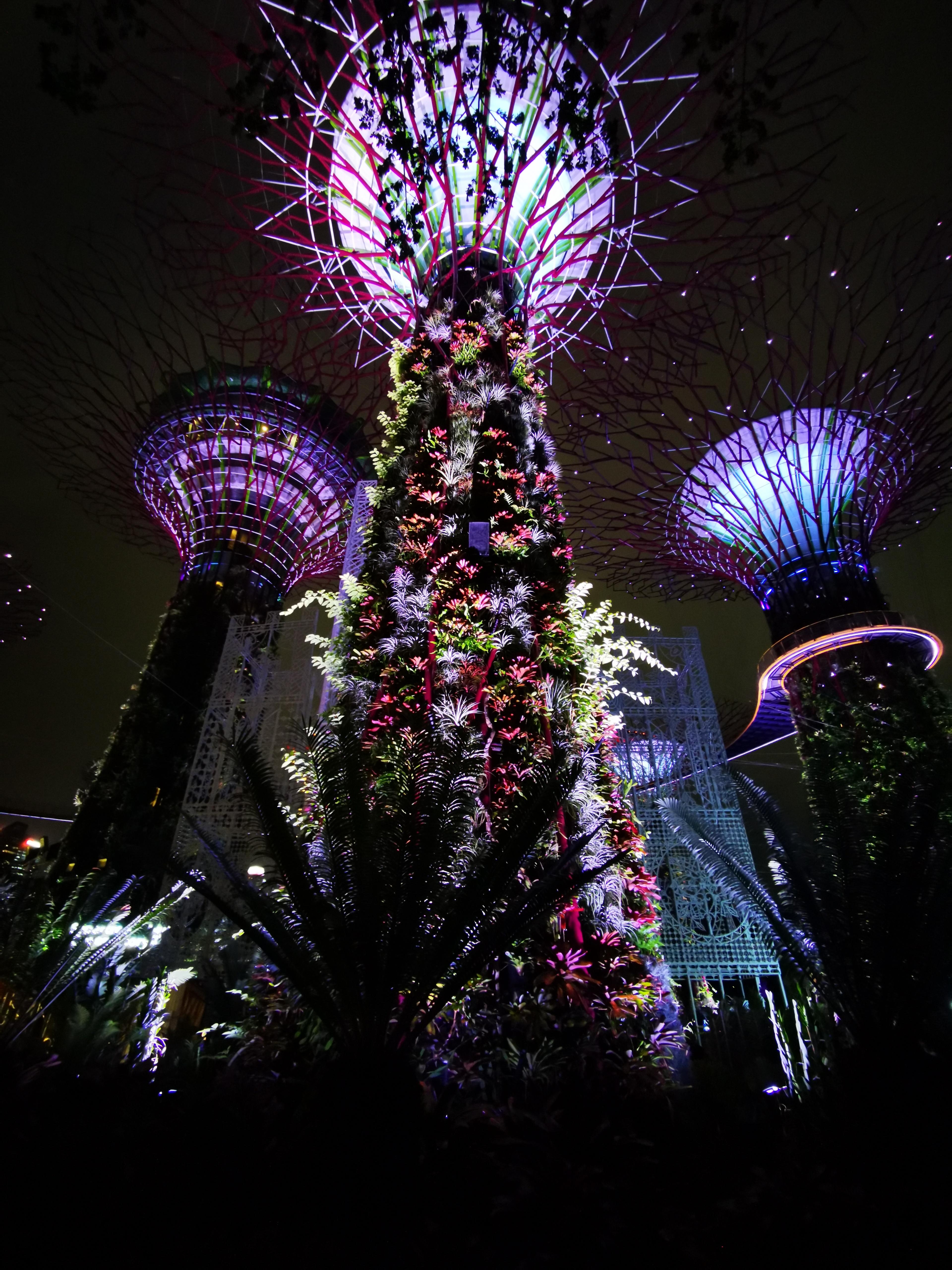 #lampe #livingchallenge # Singapur 