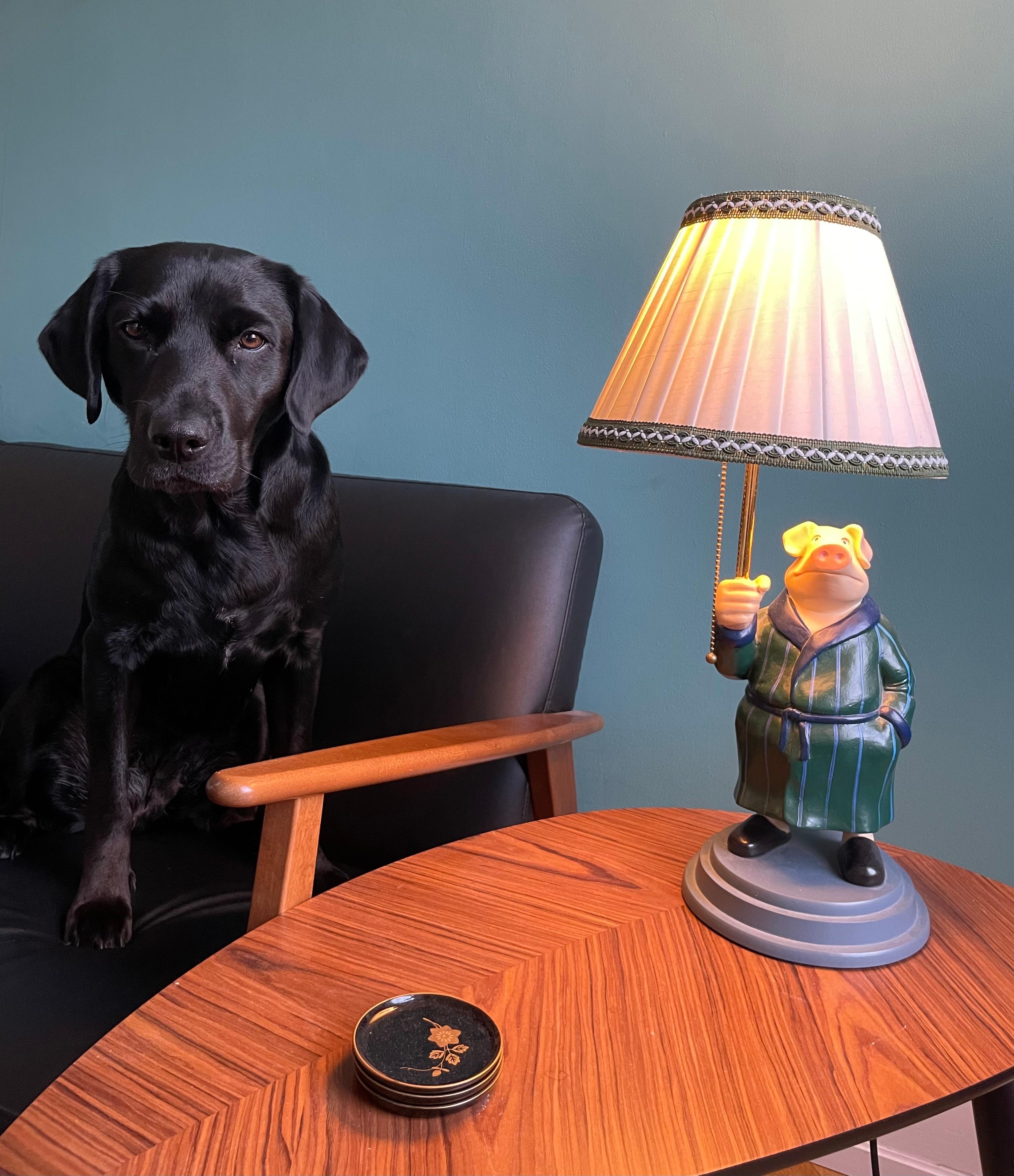 #lampe
#livingchallenge
Wilma hat heut Sch(w)ein gehabt!