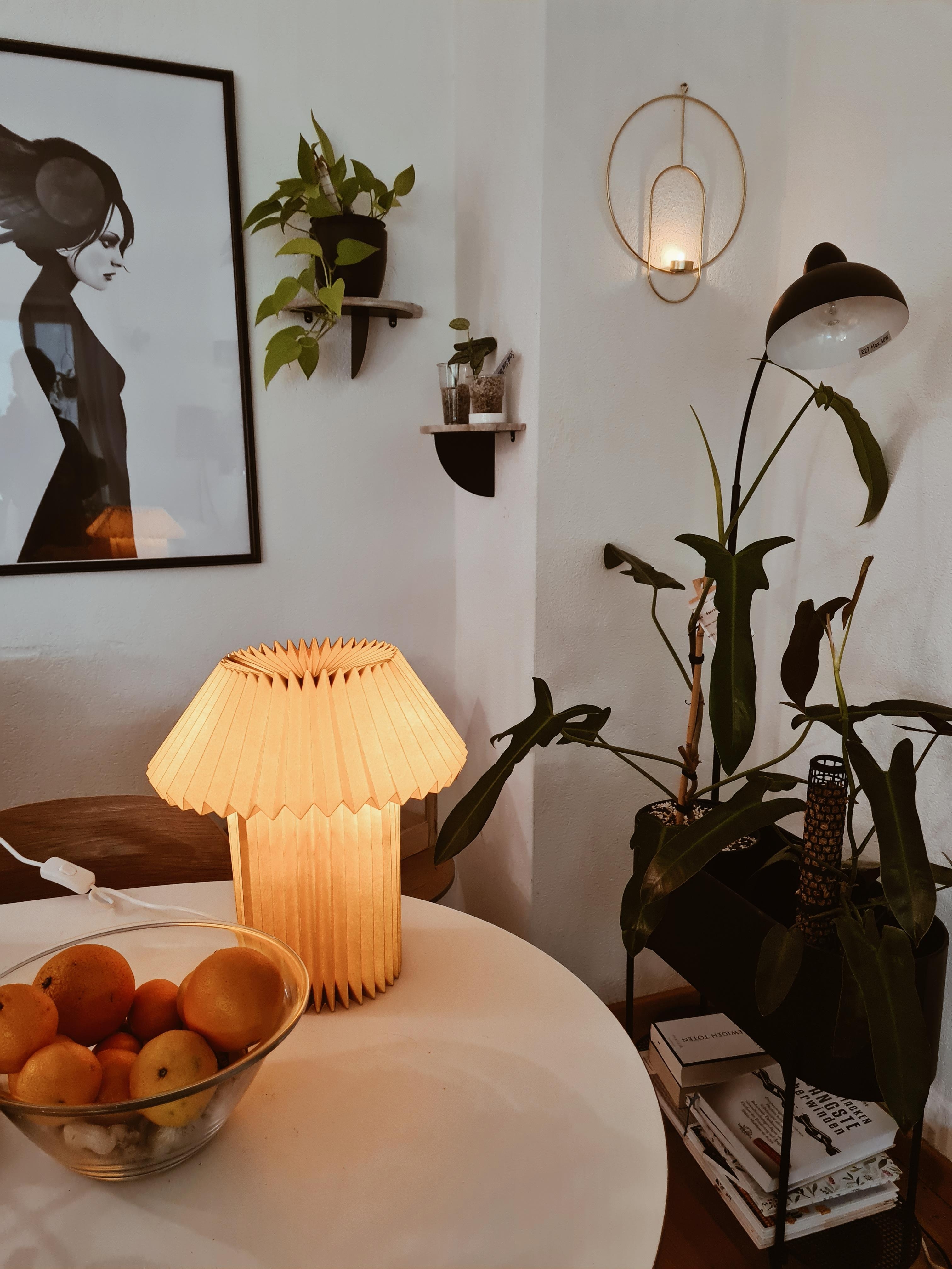 Lampenliebe🩷🩷
#interior #livingroom #plants #pflanzenliebe #interiorlove #deko #gemütlich