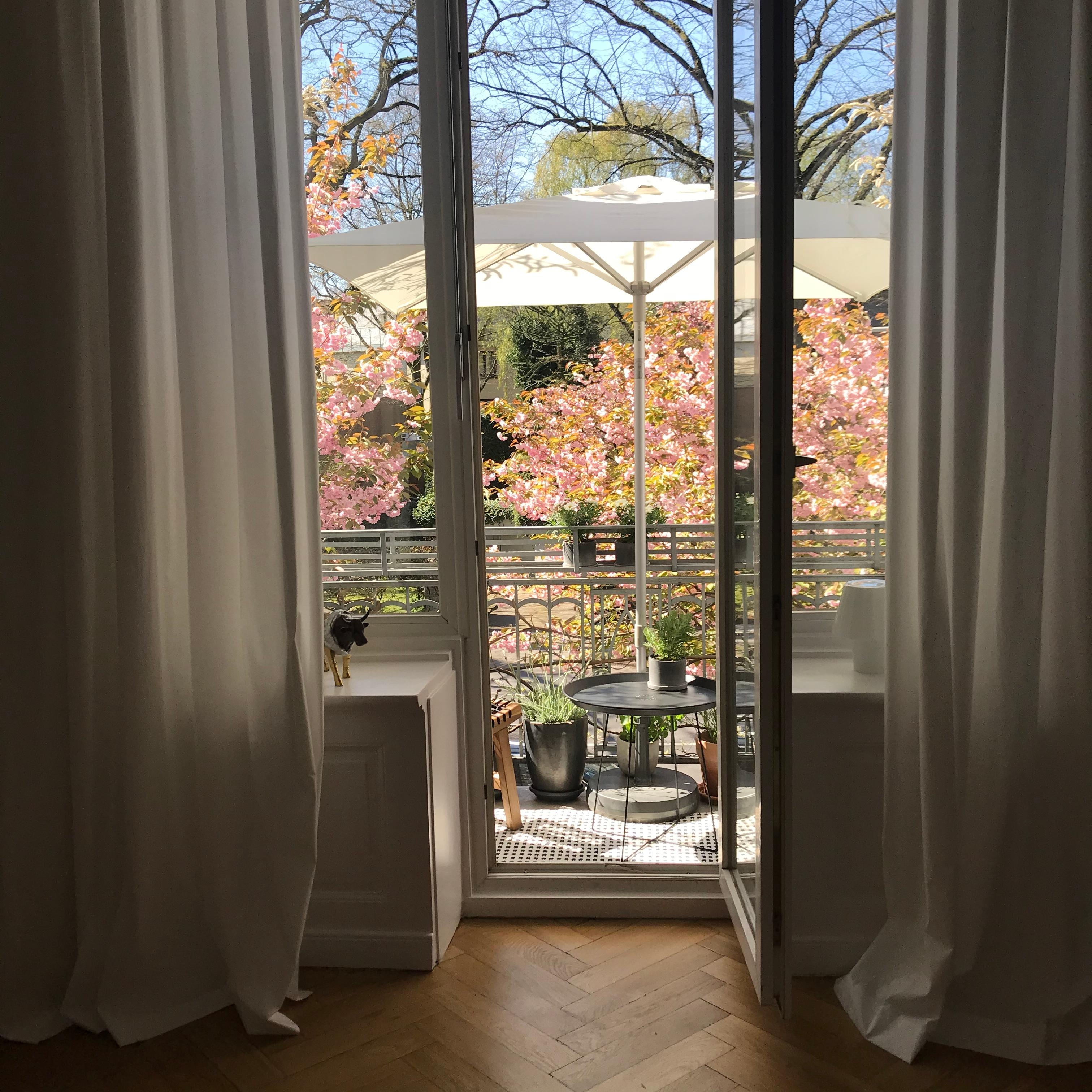 Langsam gibt es hier einen #blütenregen von oben 😅🌸 #kirschblüten #balkon #living #balkony #altbau #couchliebt 