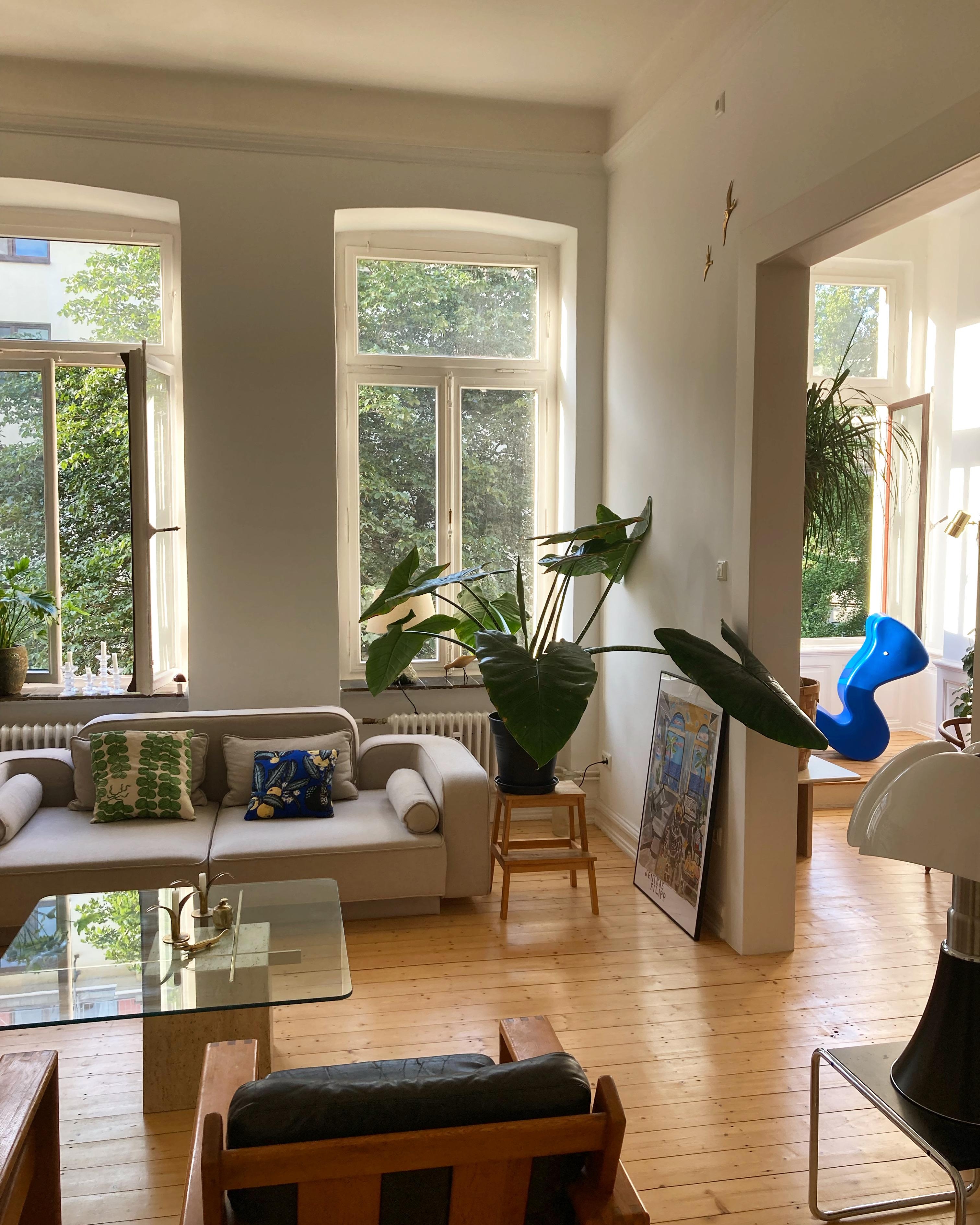 Last days of summer ☀️#livingroom#altbauliebe#cozyhome#gemütlichkeit#pflanzenliebe#alocasia#skandinavisch#designclassics