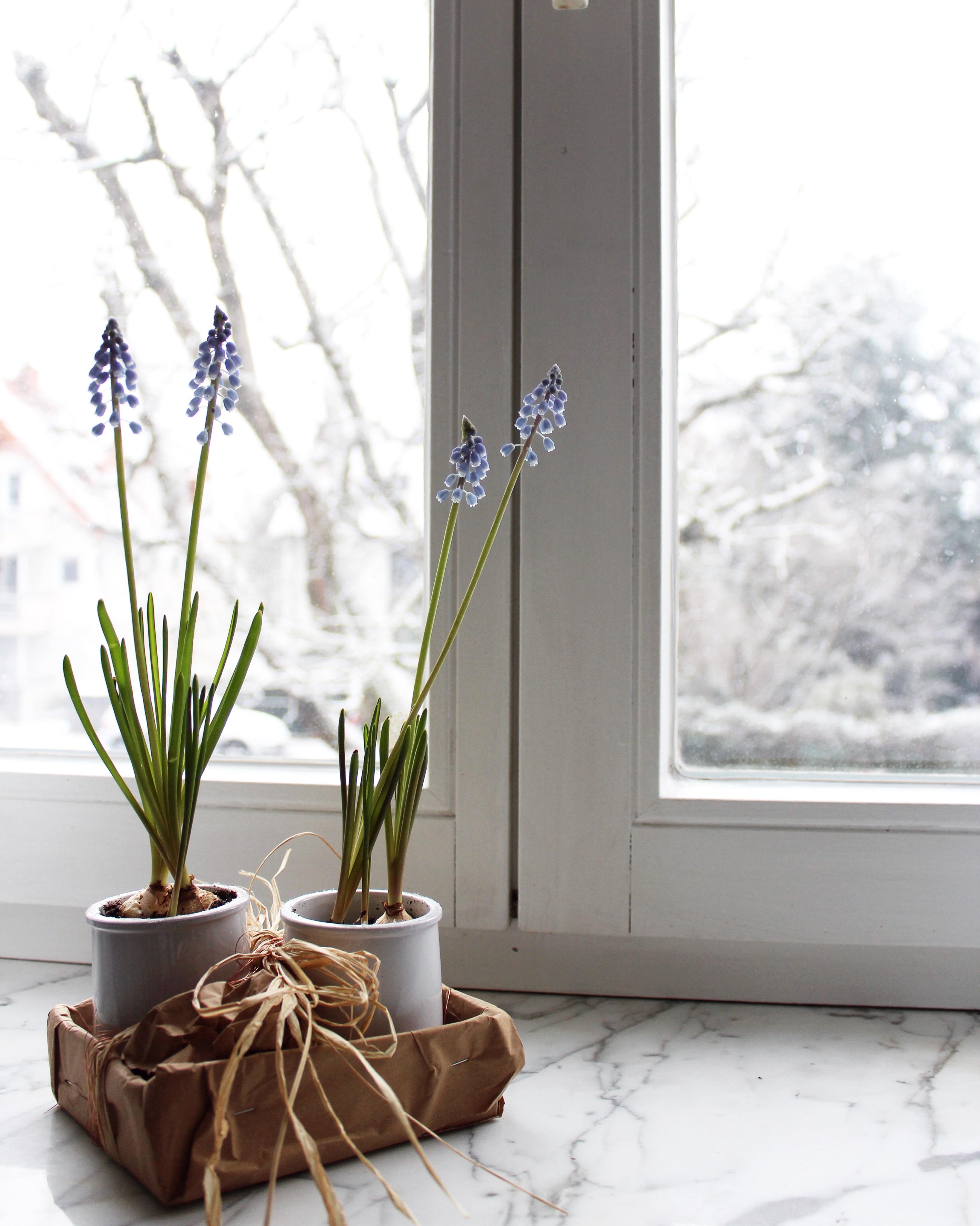 #latergram. 
Als es noch weiß draußen war und ich mir schon den Frühling ins Haus geholt habe :p #spring #interiorlover