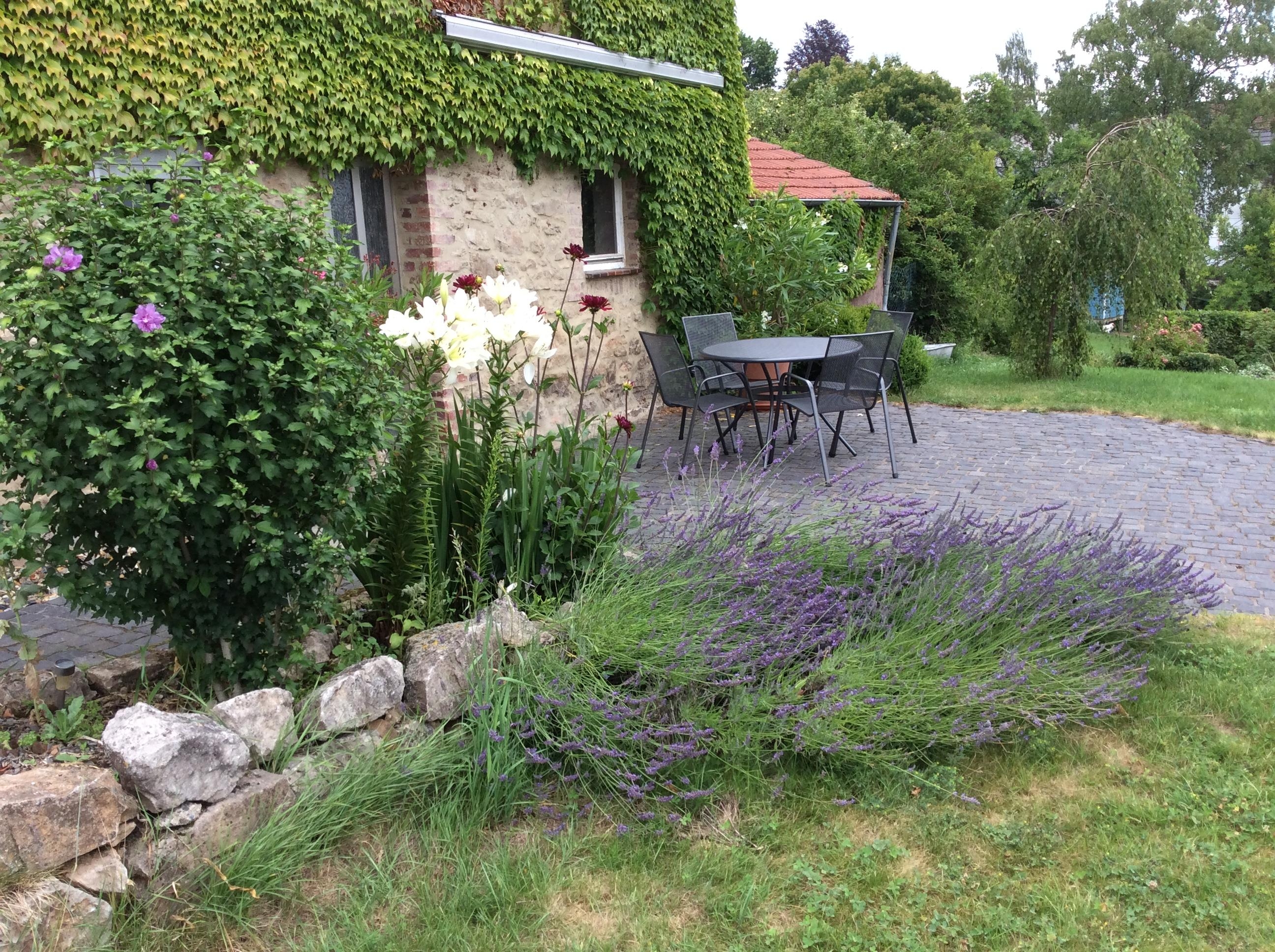 #Lavendel #Naturstein #Terrasse