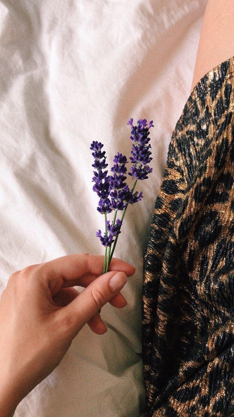Lavendellover. 
#freshlydried #summer