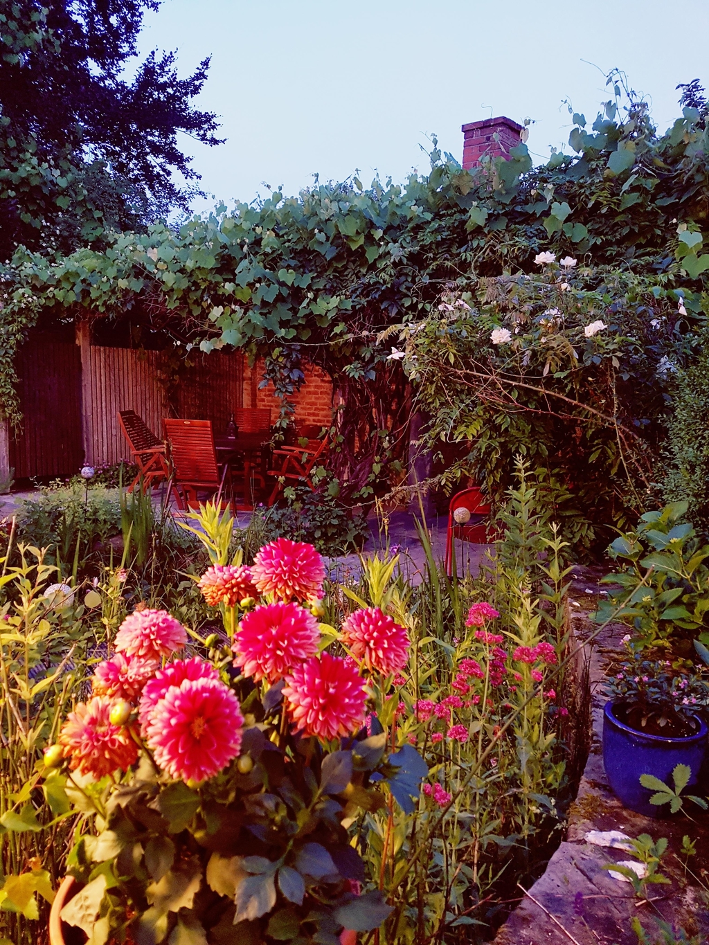 Leicht verwilderter Garten. Viel Freude für uns und