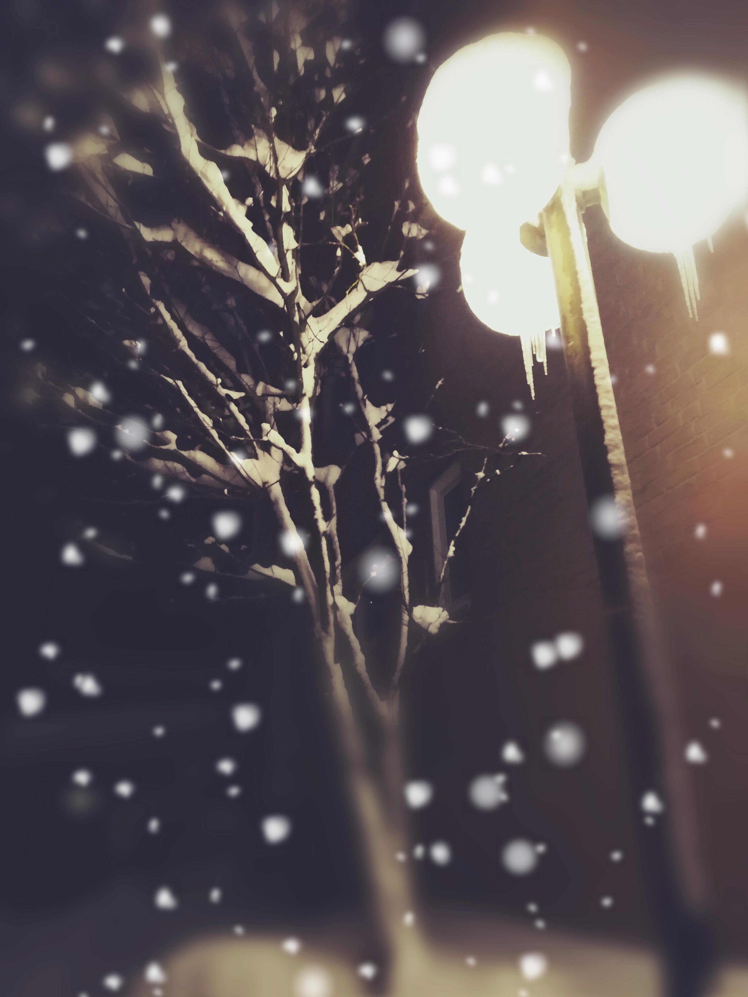 Leise rieselt der Schnee ❄️❄️❄️