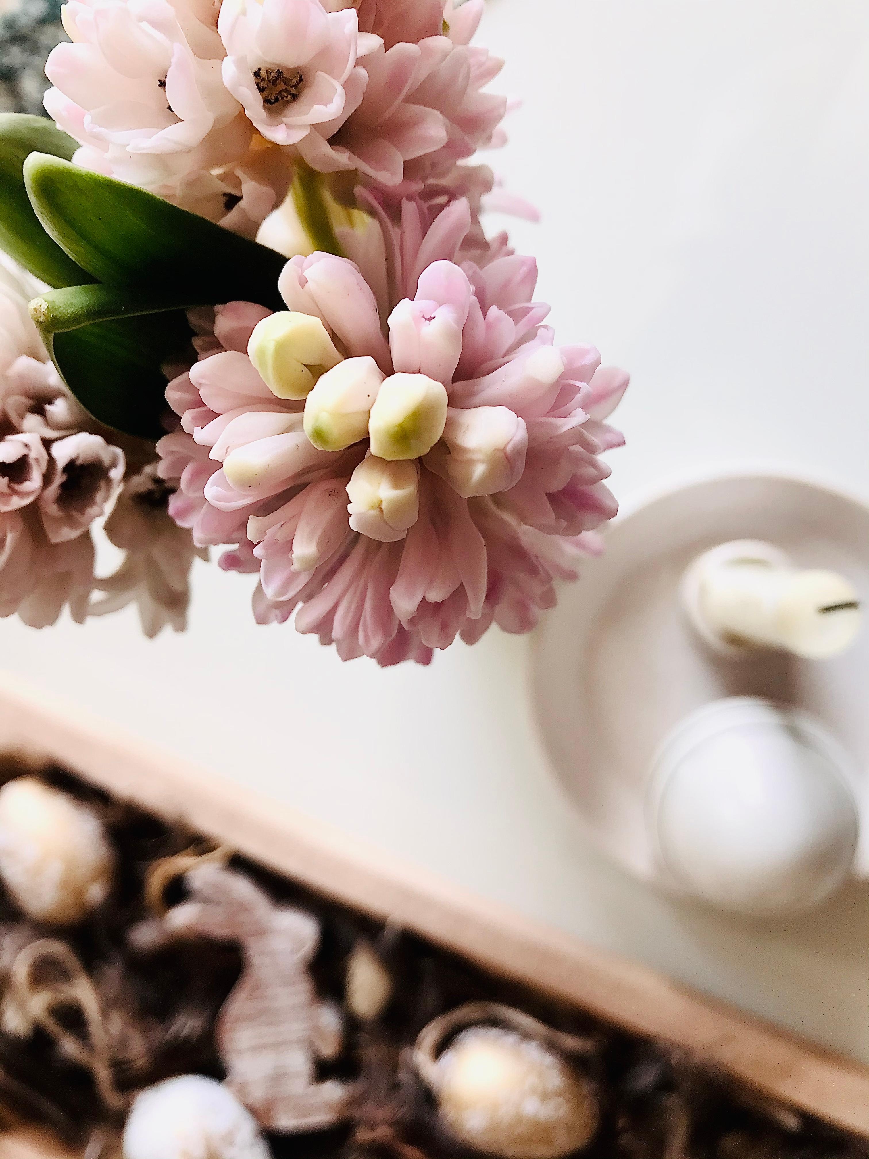 Letztes Oster picture🐰 dann kann die Deko verstaut werden
#freshflower #table #kerze #hyazinthe 
#rosaweiss #Frühling 