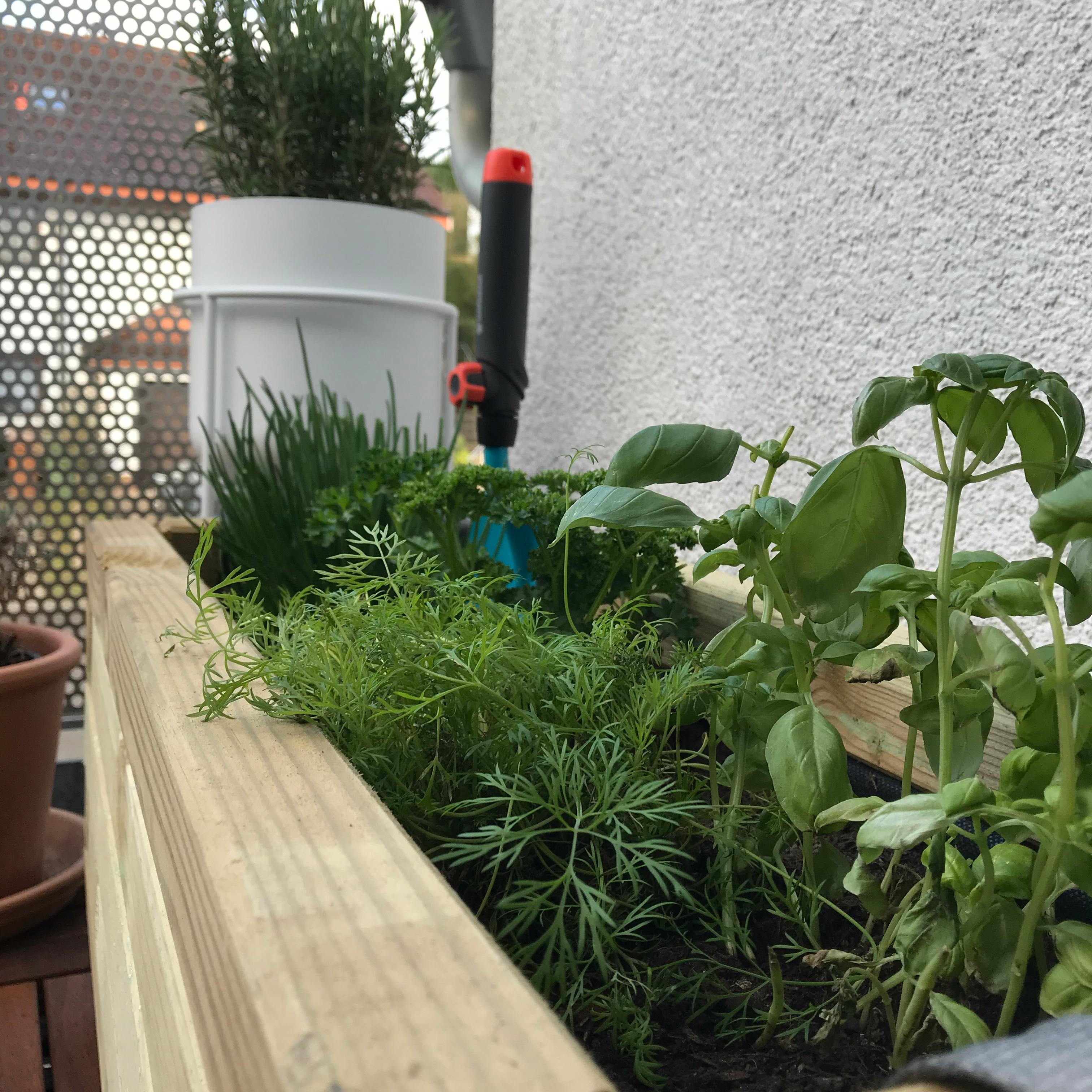 Letztes Wochenende haben wir unser Kräutergarten(Balkon) hergerichtet.  Wie findet ihr ihn? #livingchallenge #plantlover