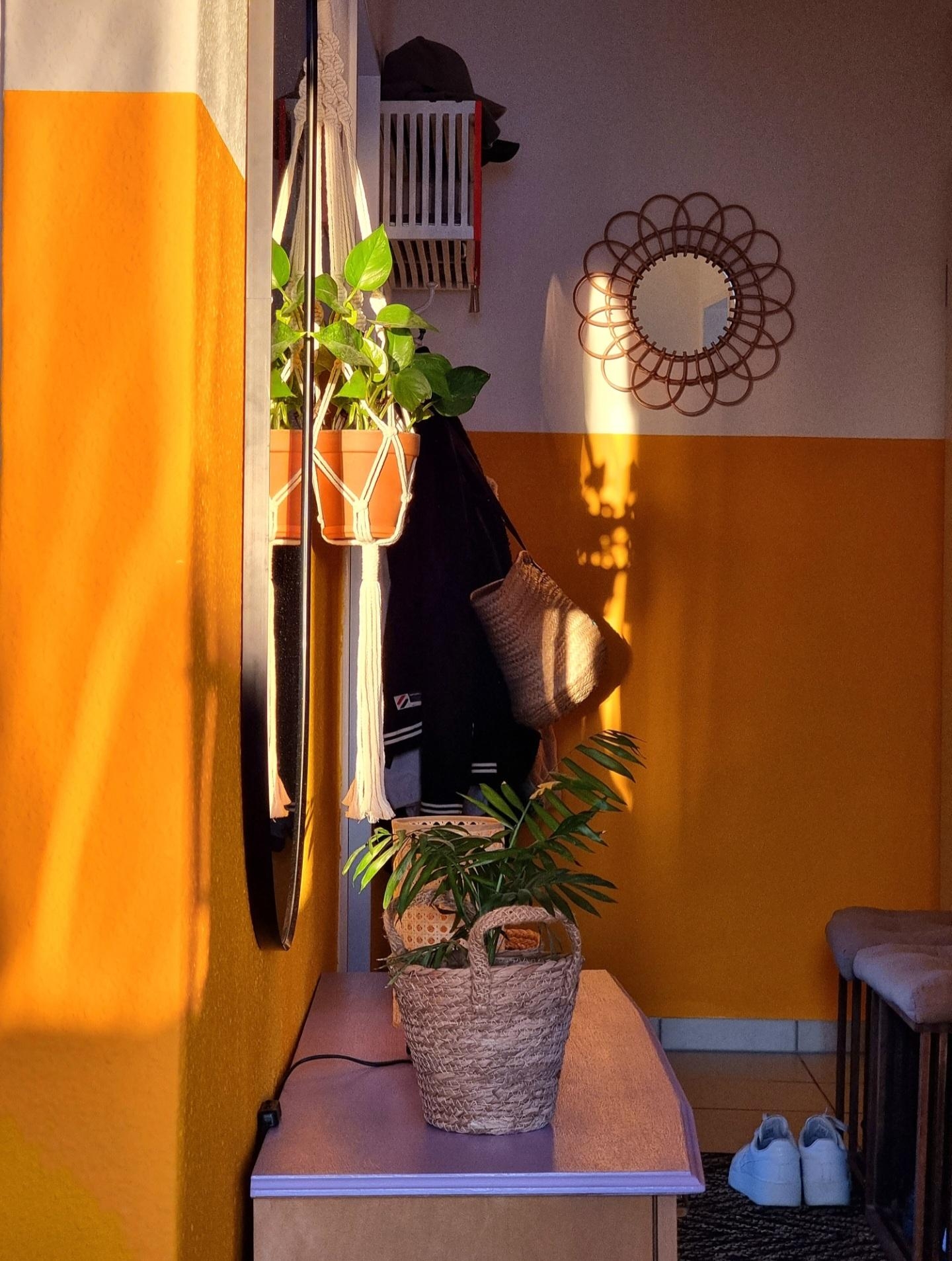 #Licht und #Schatten ..liebe diese #Kontraste #Zuhause #Sommer #Flur #Bohostyle #Pflanzen #goldenhour 🧡