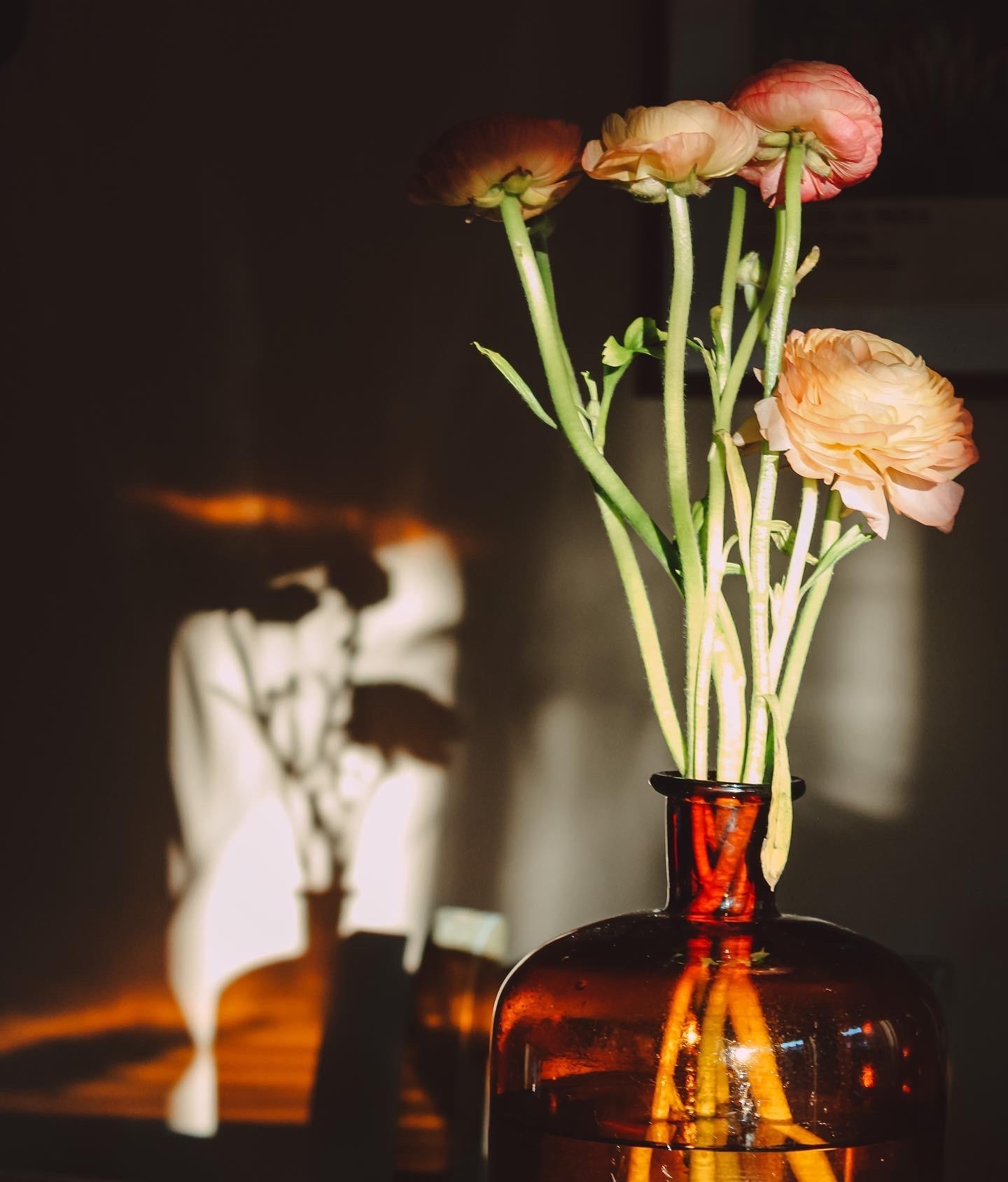 #licht und #schatten #vase #blumen #secondhand #flohmarkt #freshflowerfriday