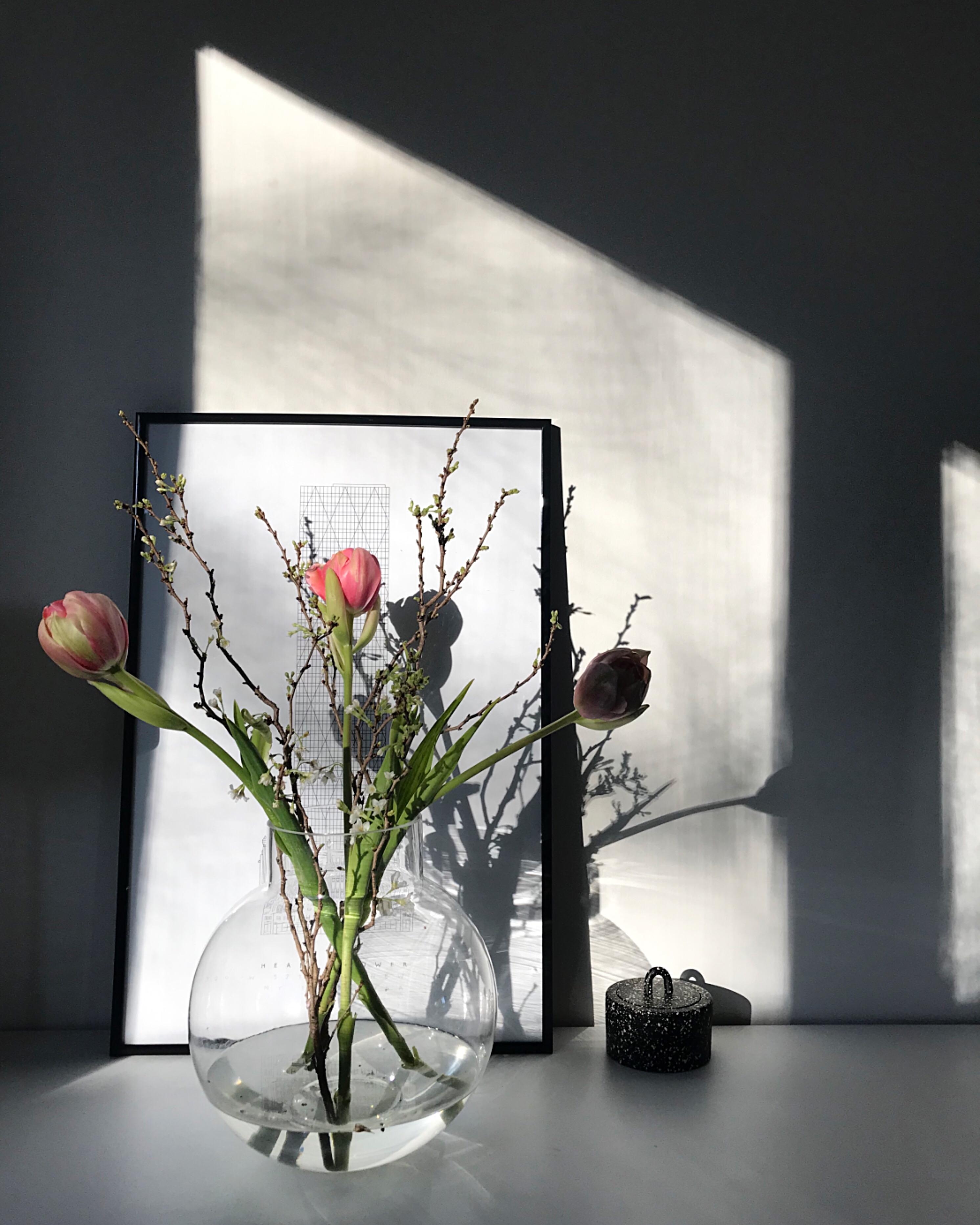 #licht und #schatten #vasenliebe #tulpen
