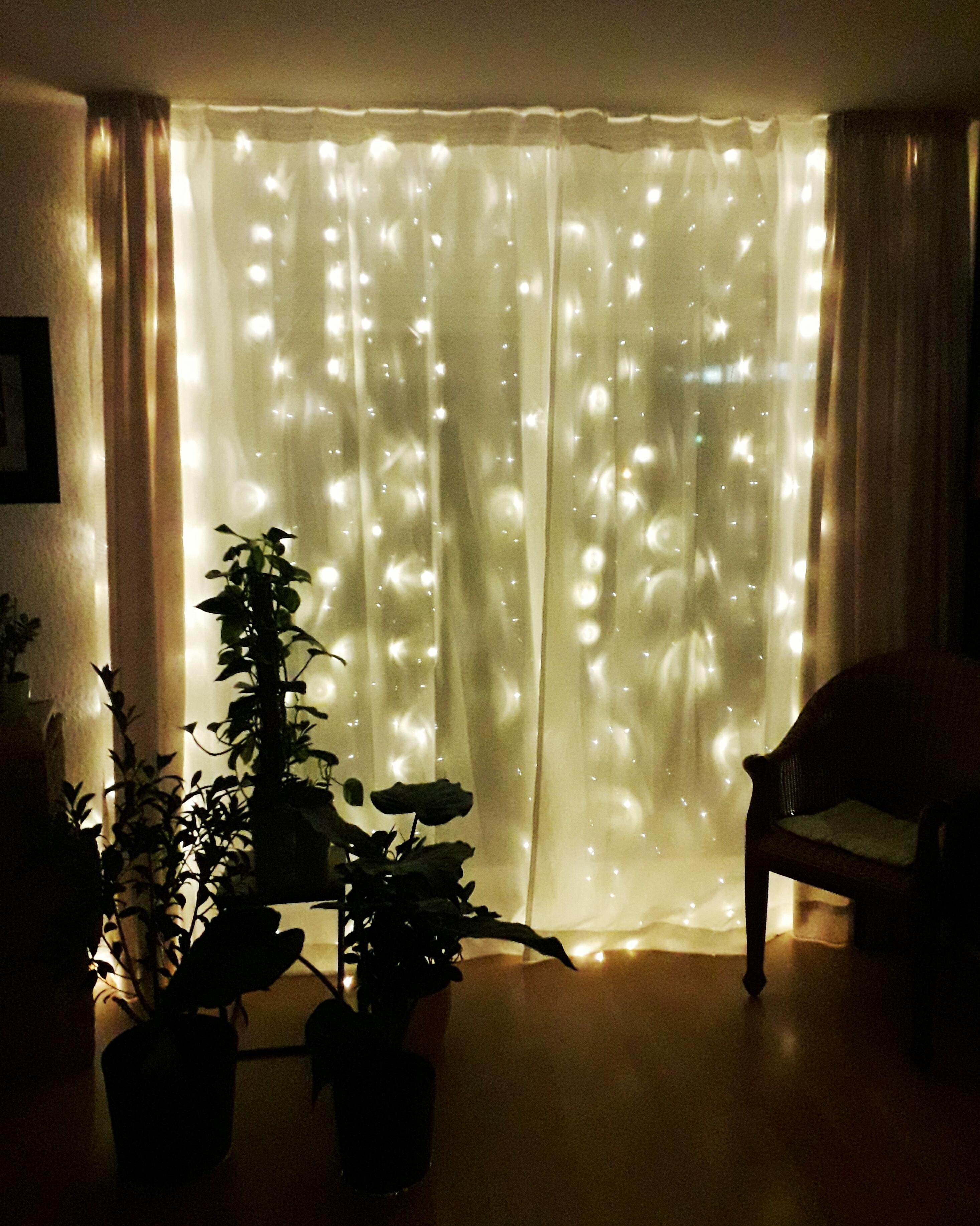 Lichterkette #Wohnzimmer #Pflanzen #weihnachten • C