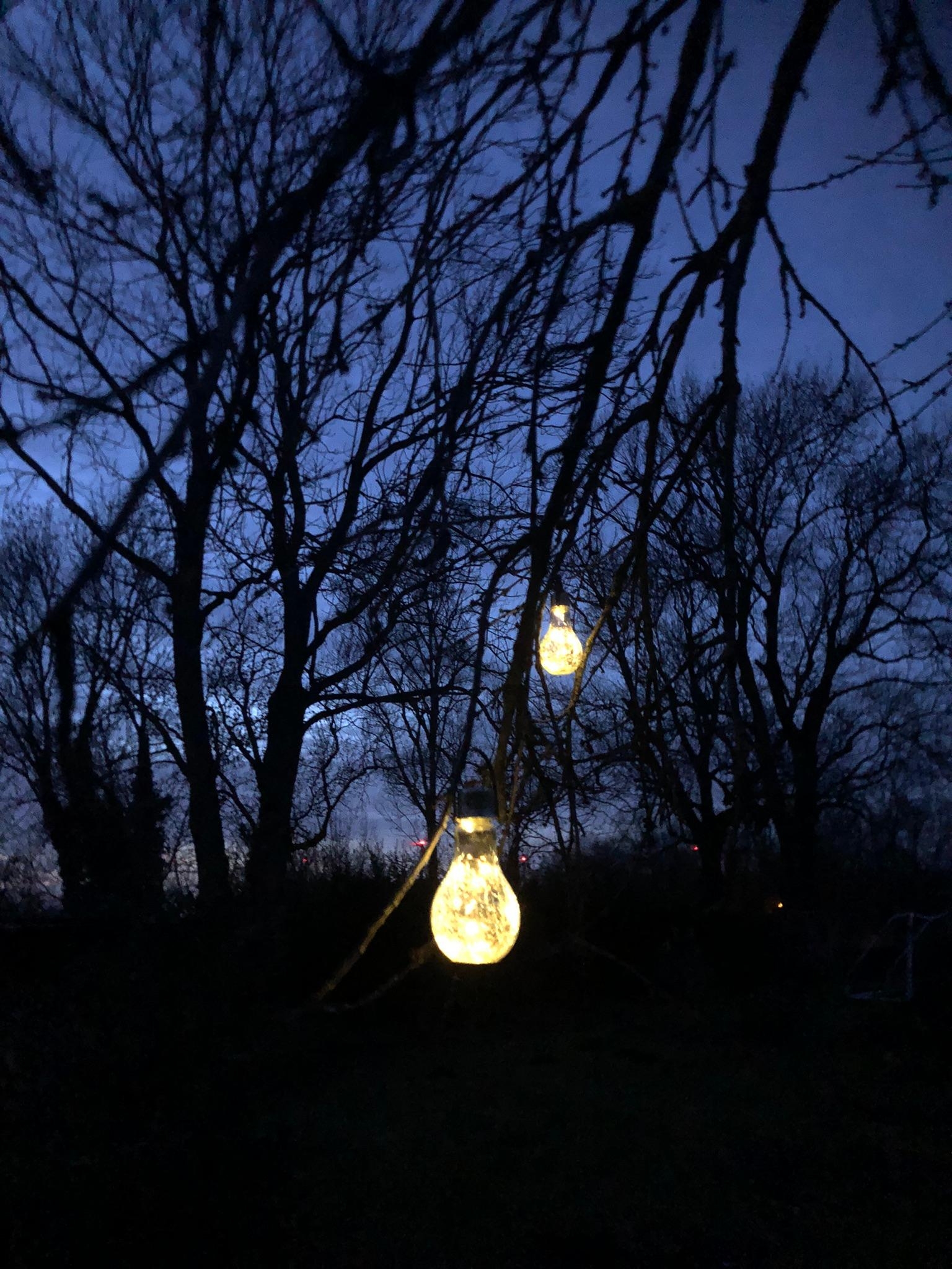 #Lichtstimmung am Abend im #Garten leuchten #Solarlampen