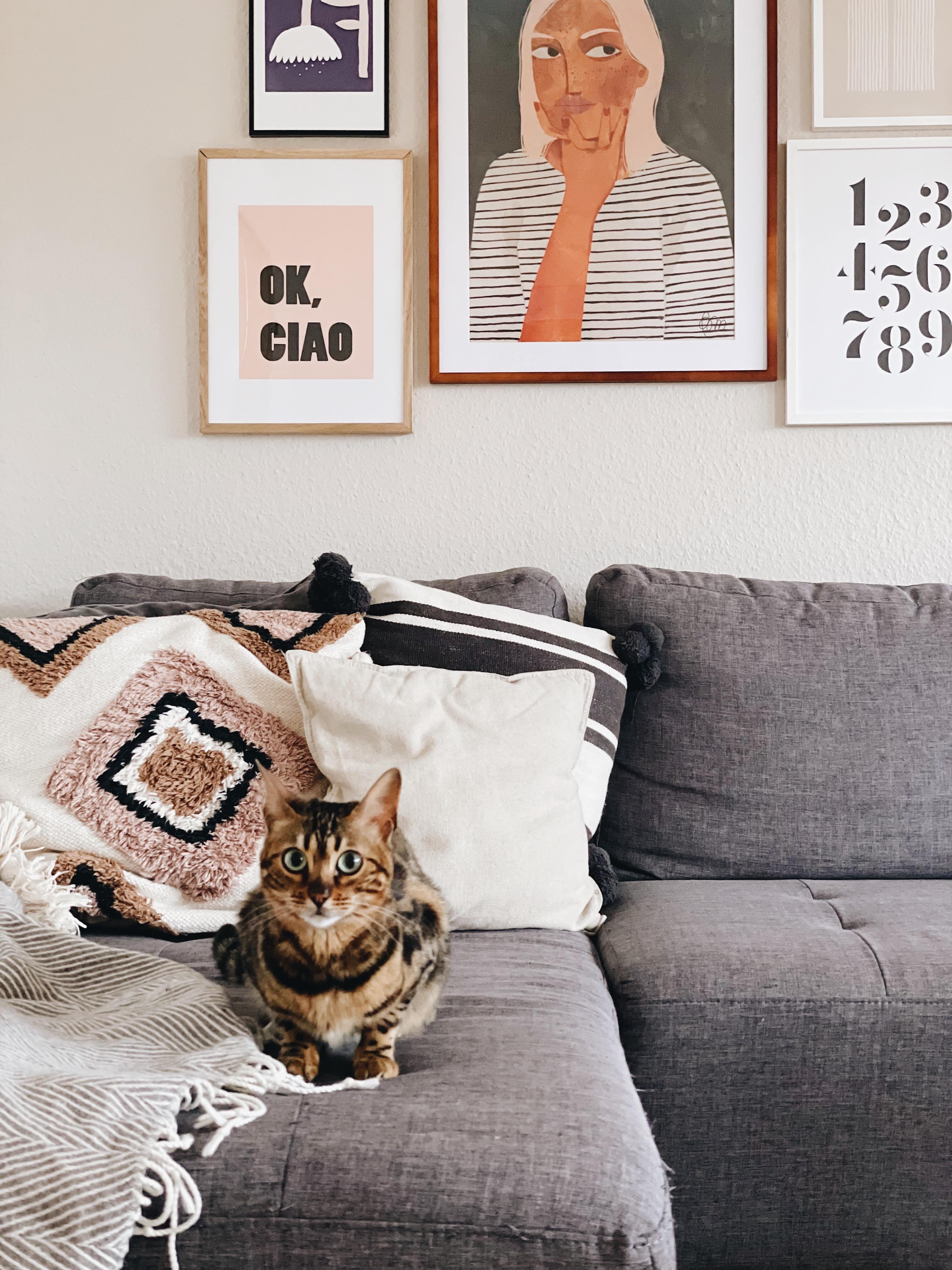 Liebe 🐱 #home #livingroom #catmom #inspiration #wohnzimmer #details #couchstyle #couchliebt 