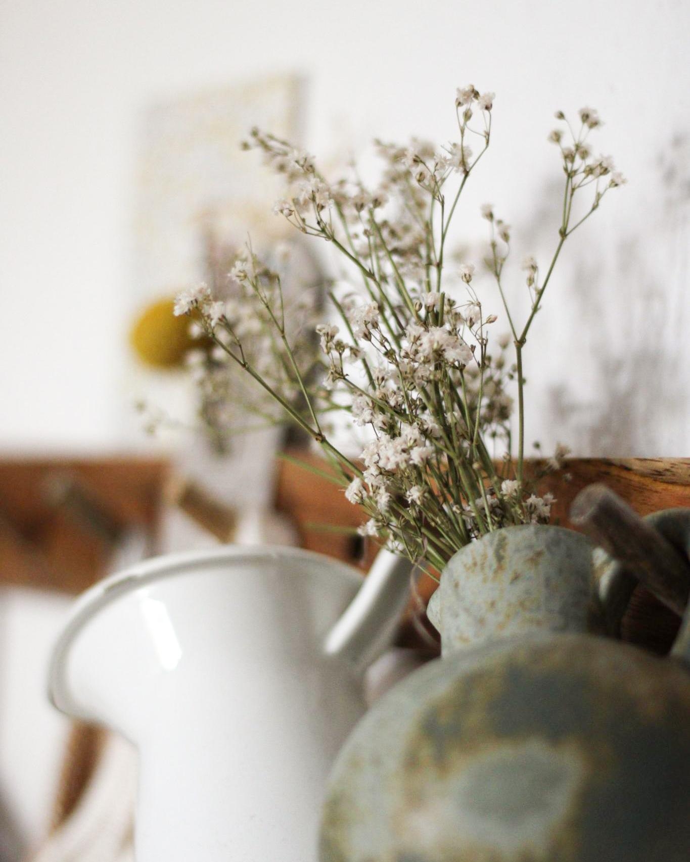 Liebe zum Detail 🤍🌿 #detailverliebt #blumen #frühlingsvorfreude #hakenleiste #vase #couchstyle 
