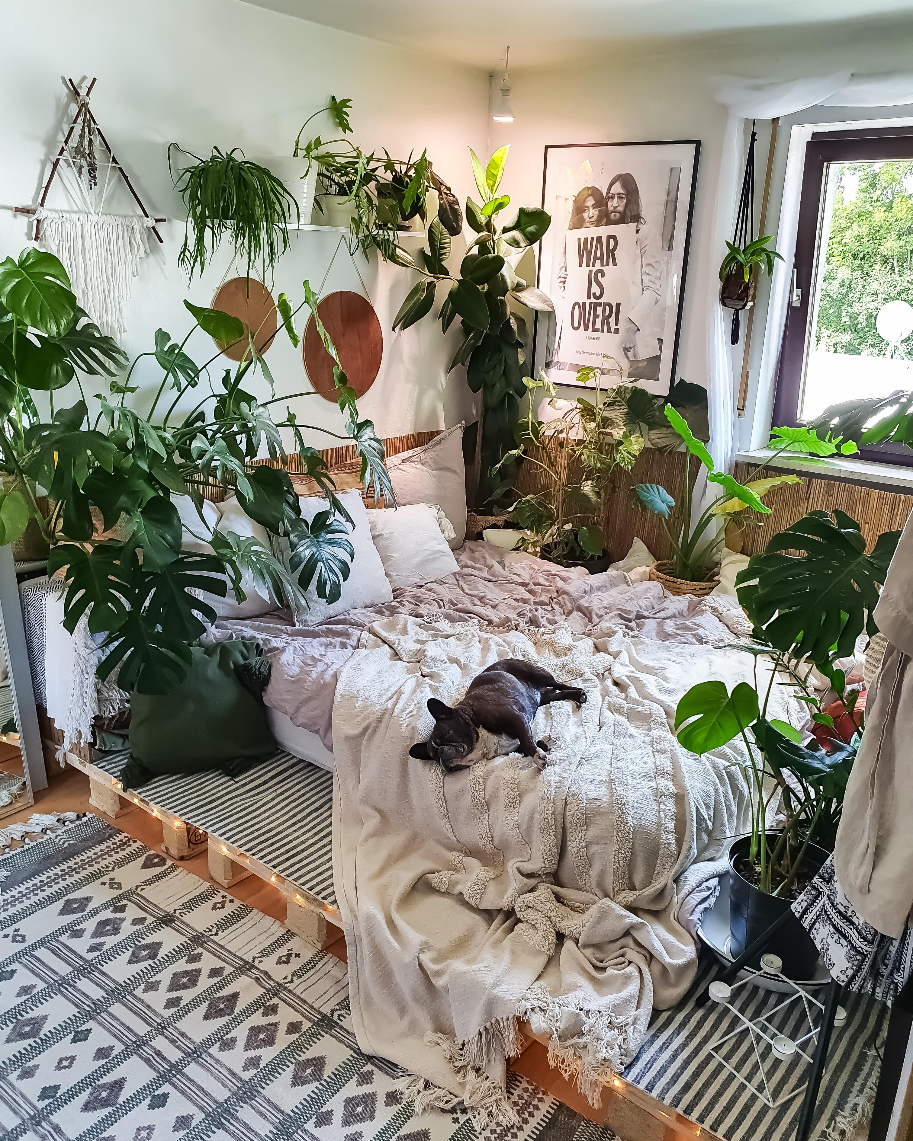 Lieblingsbett #Schlafzimmer #Bett #Pflanzen #urbanjungle #monstera #Poster #Paletten 