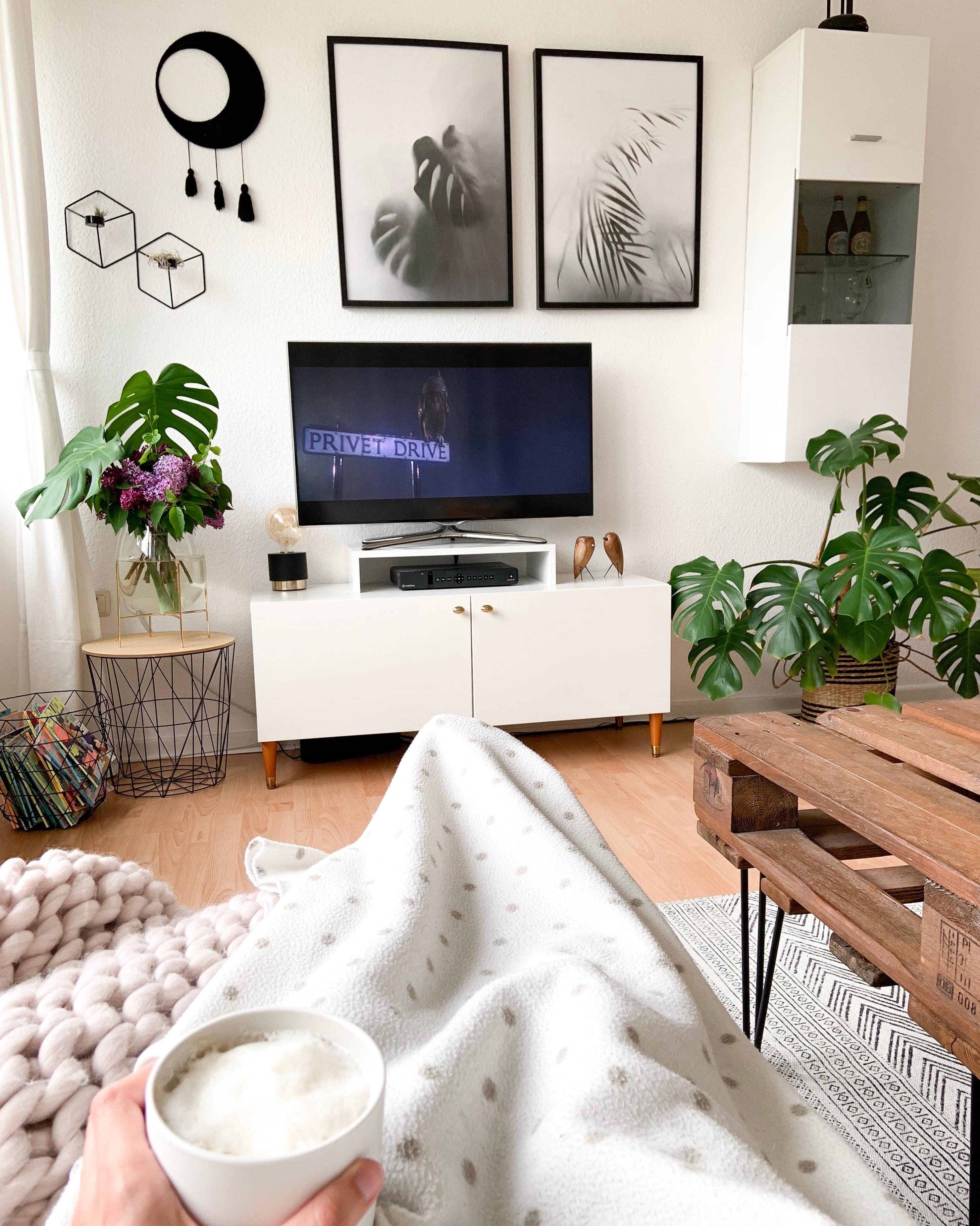 Liebste Aussicht 😊 #couchpotato #wohnzimmer #monstera #junglevibes
