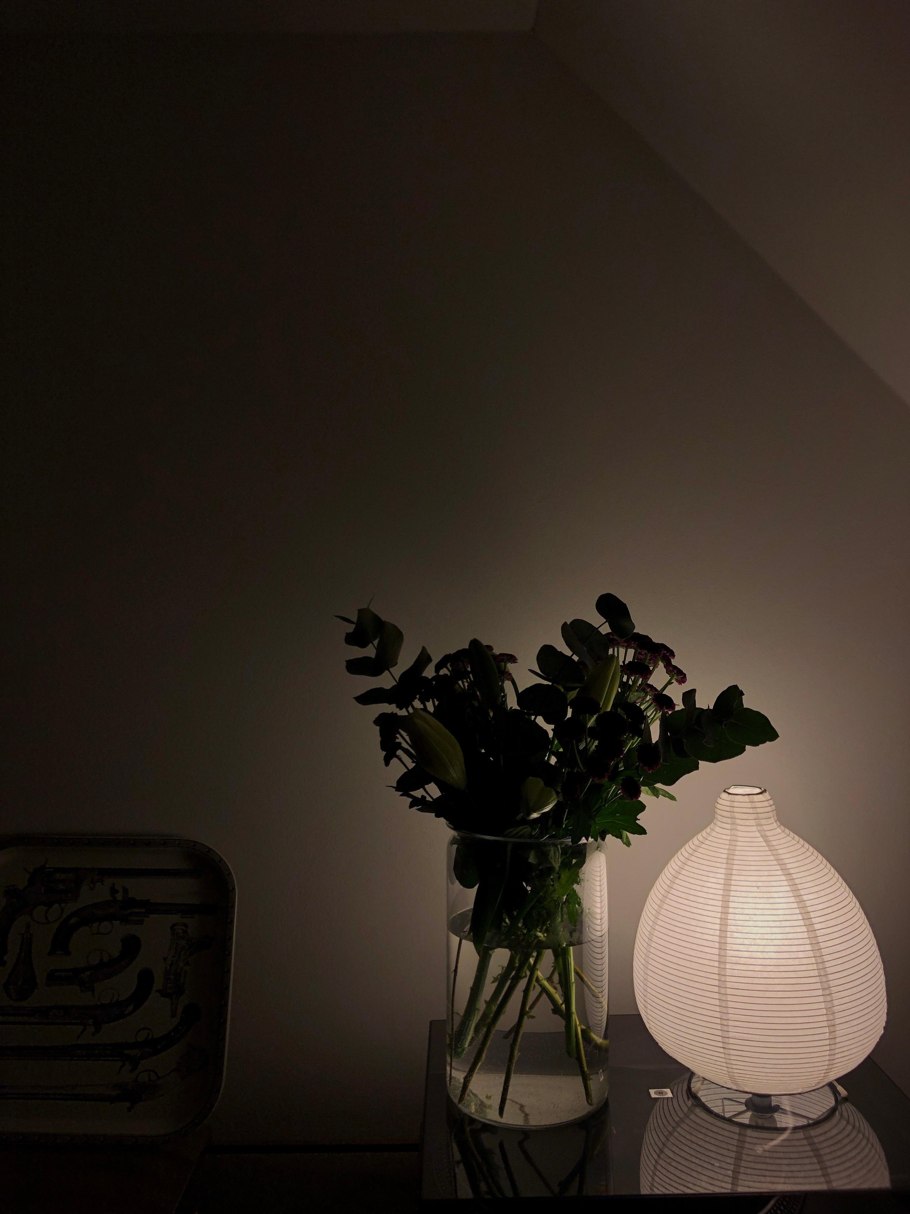 Lights on 🌙 und einen schönen Abend!
#lampe #papierlampe #hygge #interior #design #midcentury #wohnzimmer #couchstyle 