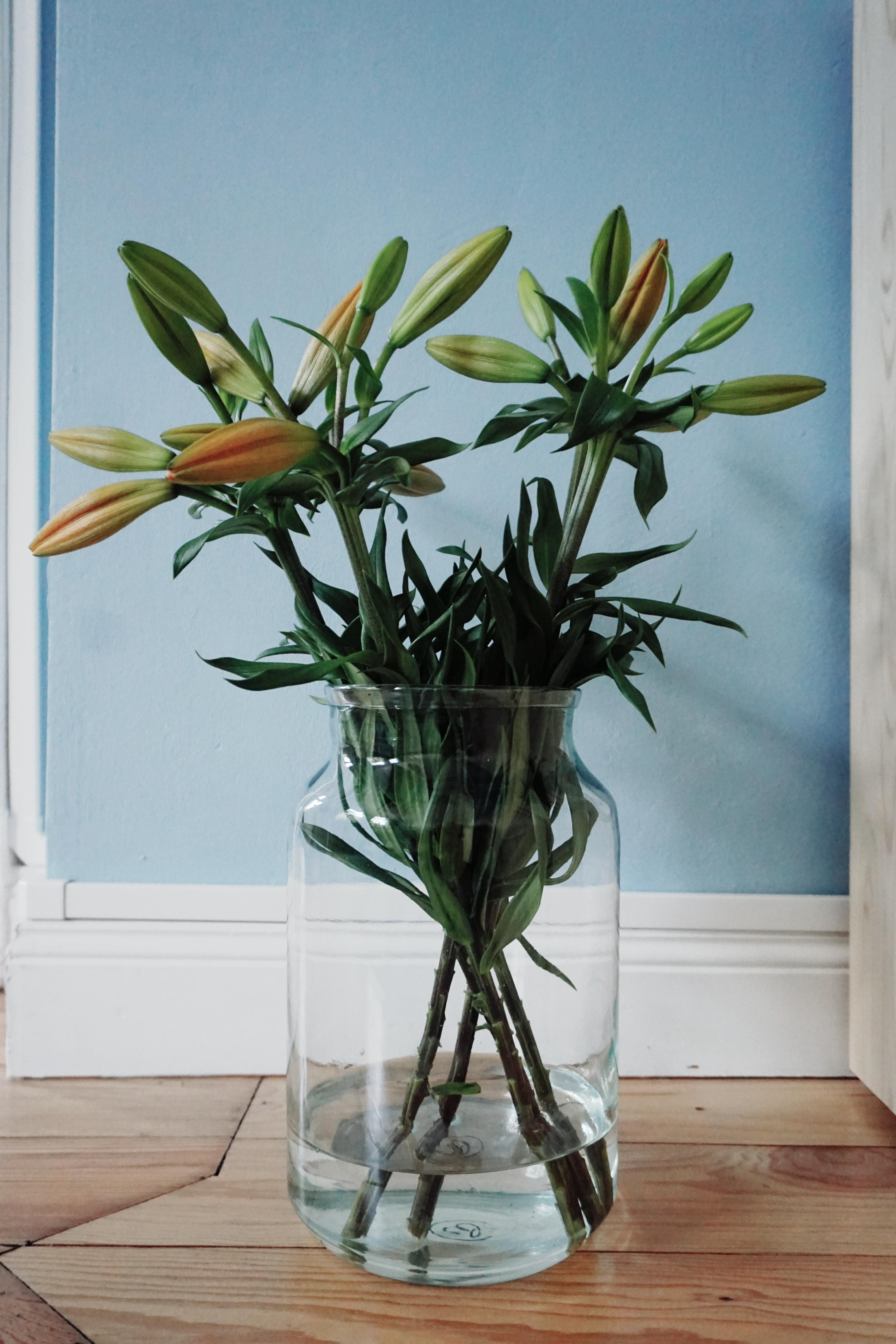 Lilien-Time ❤
#freshflowerfriday #lilien #flowers #altbau #altbauliebe #wohnzimmer