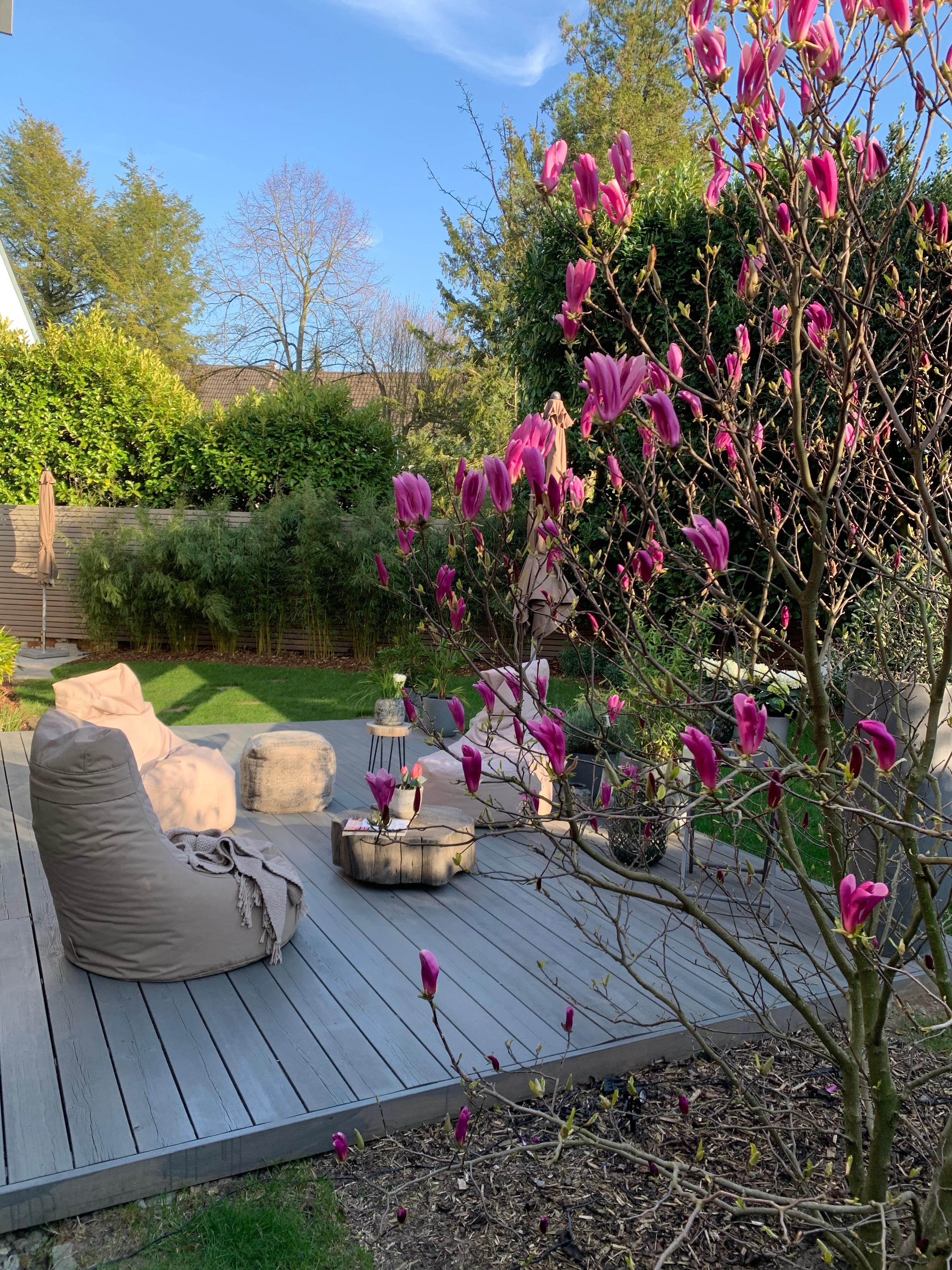 #livingchallenge #draußensein #frühling #terrasse #garten #magnolie