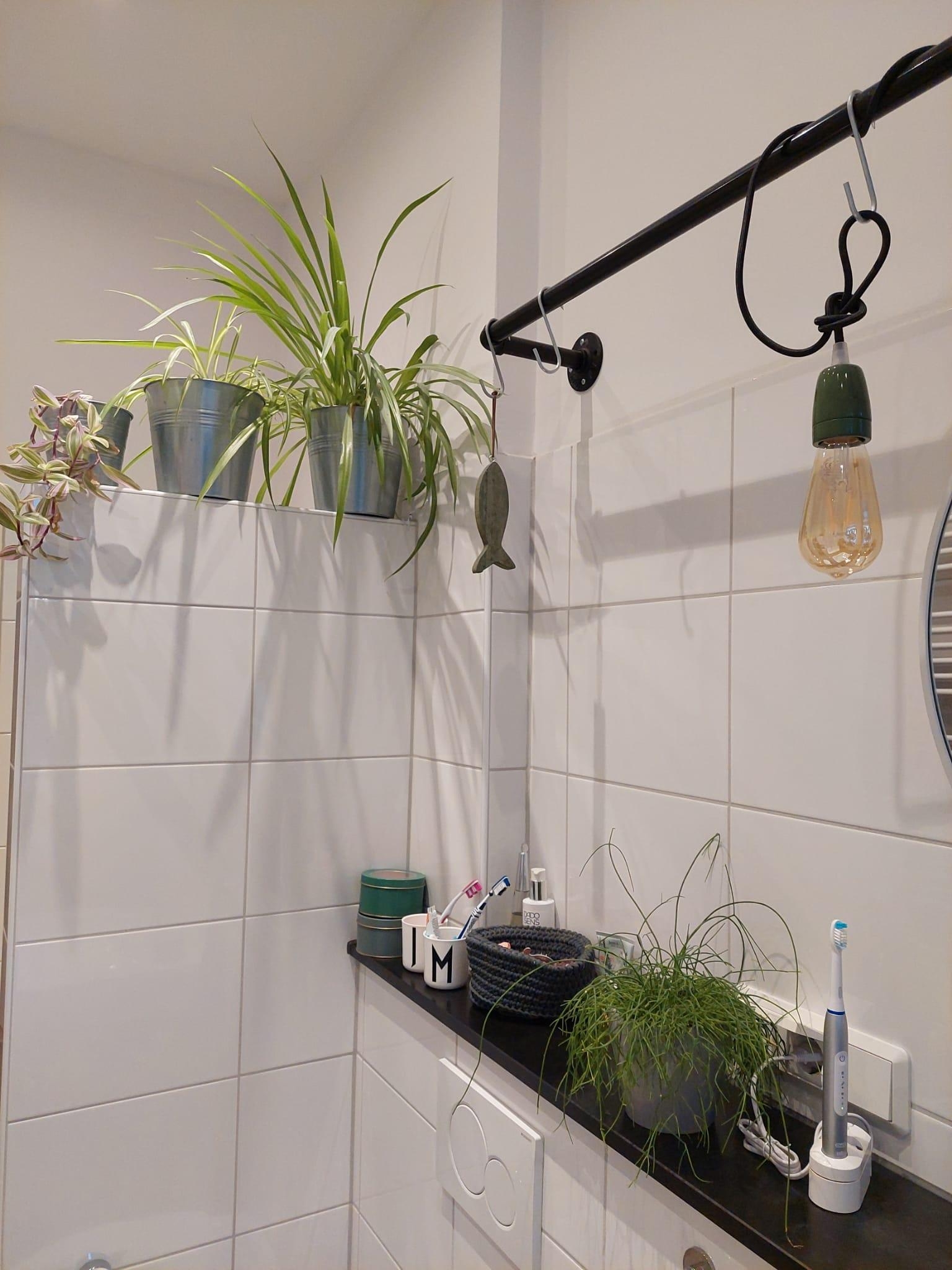#livingchallenge #greenliving
Auch im Badezimmer gibt es bei uns viele Pflanzen.