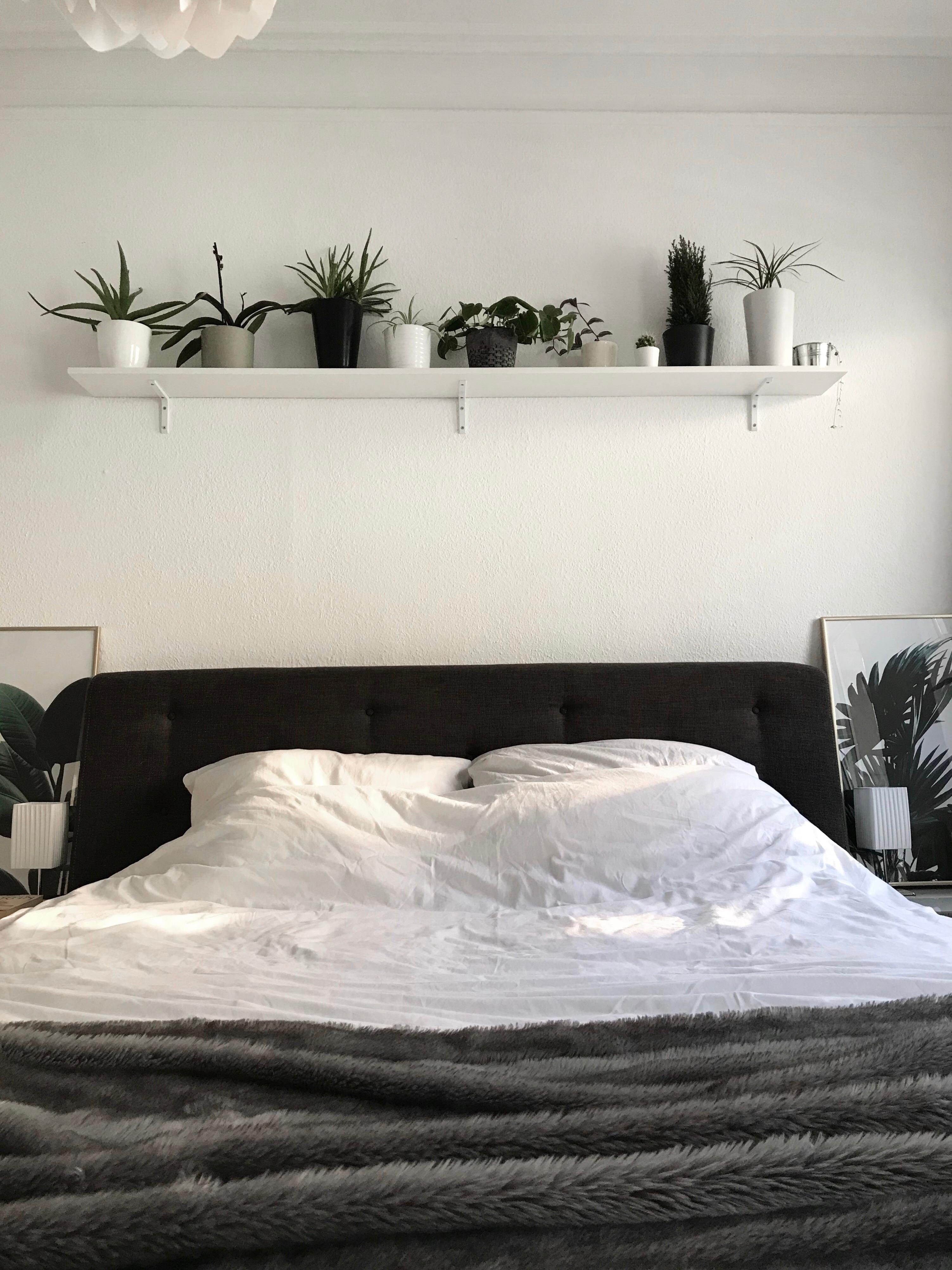 #livingchallenge #plantlover #bedroom #bed #plants #myhome