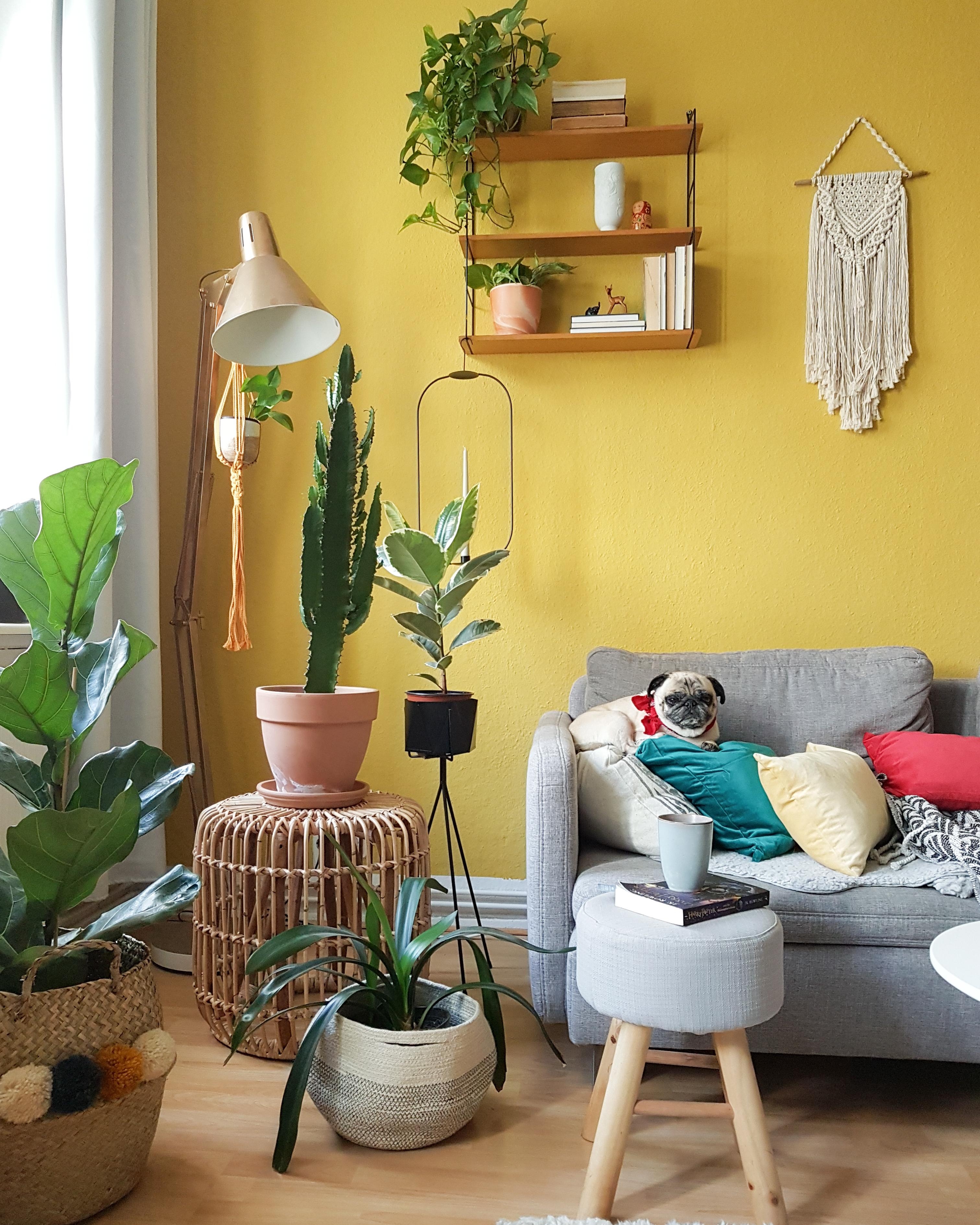 #livingroom #boho #bohohome #bohohomedecor #plants #colourful 