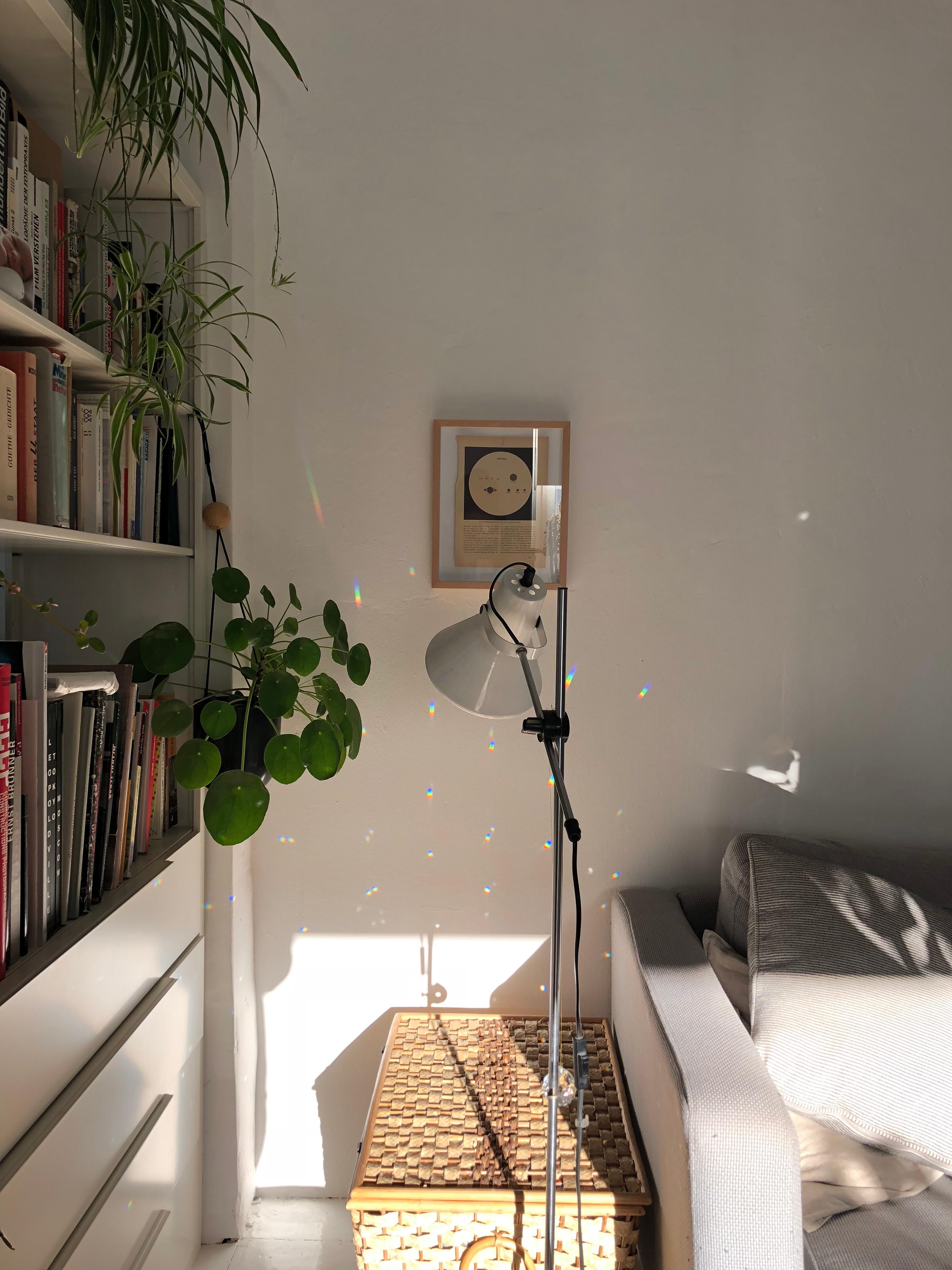 #livingroom #home #wohnzimmer #greenliving #altbau #sonne #licht #mond #vintage #ikea