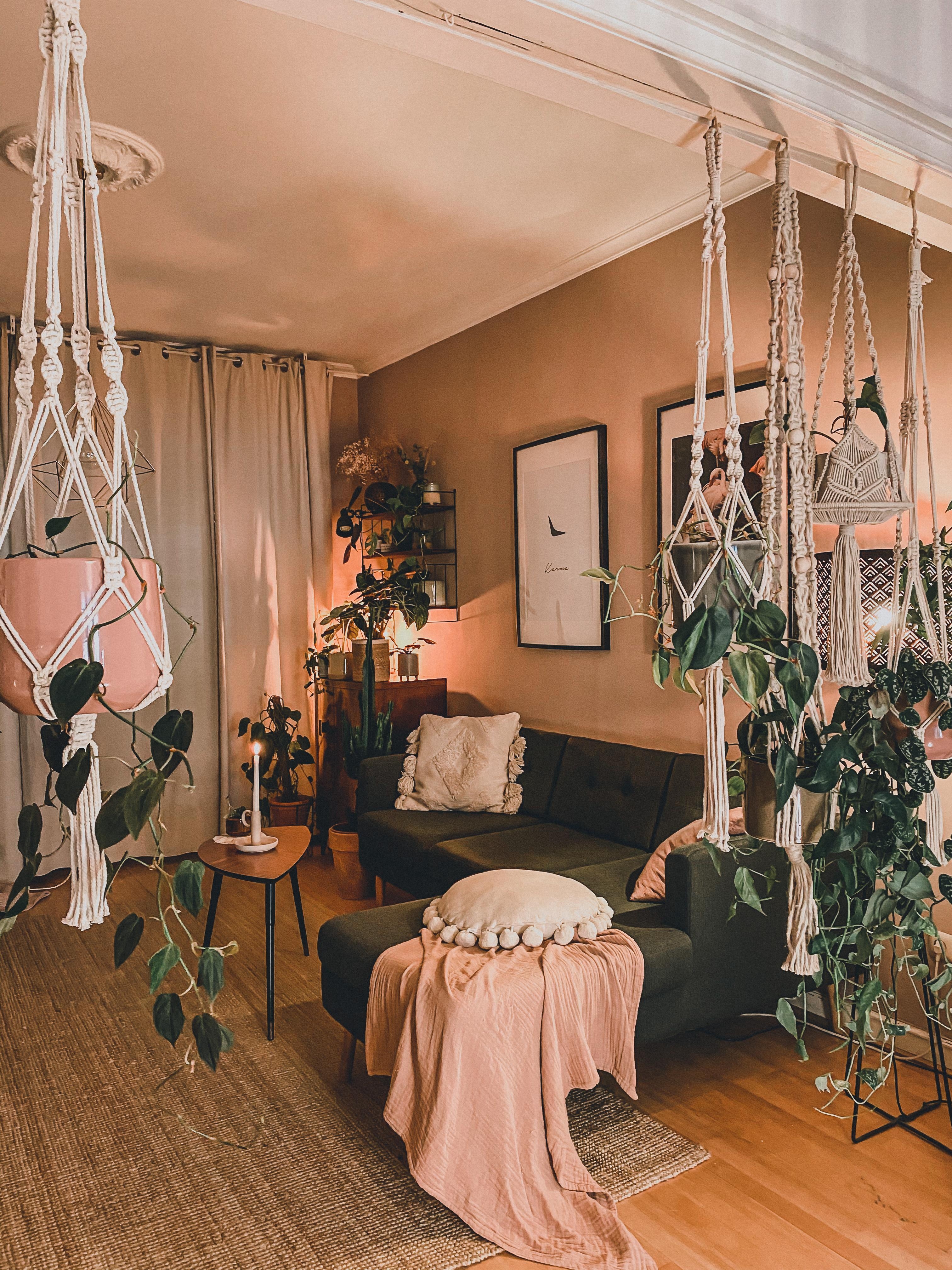 livingroom #interior #planterior #decor #pflanzenliebe