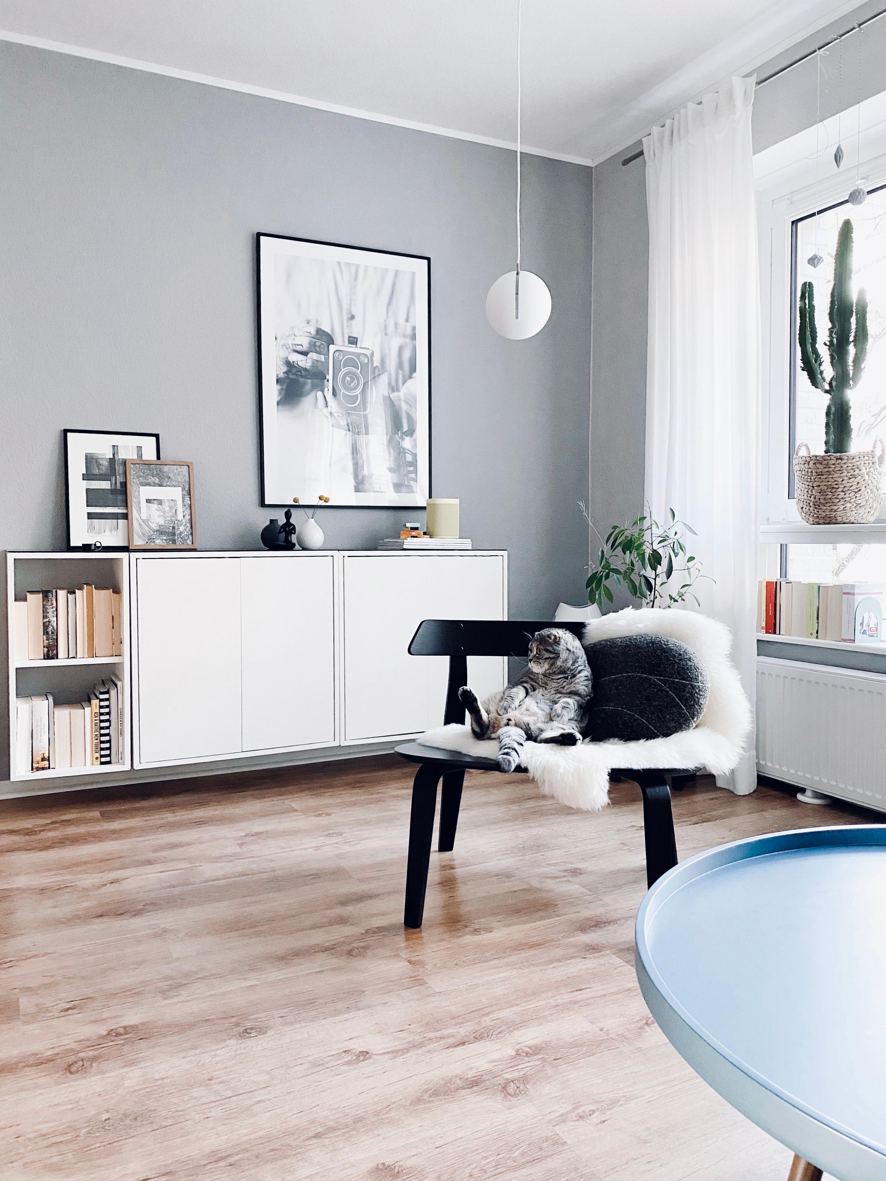 #livingroom #monochrome #murzikthegrumpyone #interior #catlover #mynordicroom