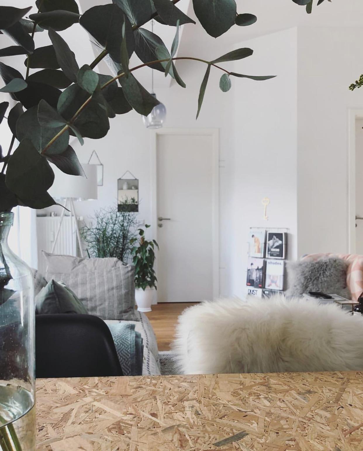 #livingroom #openroom #kitchen #eucalyptus