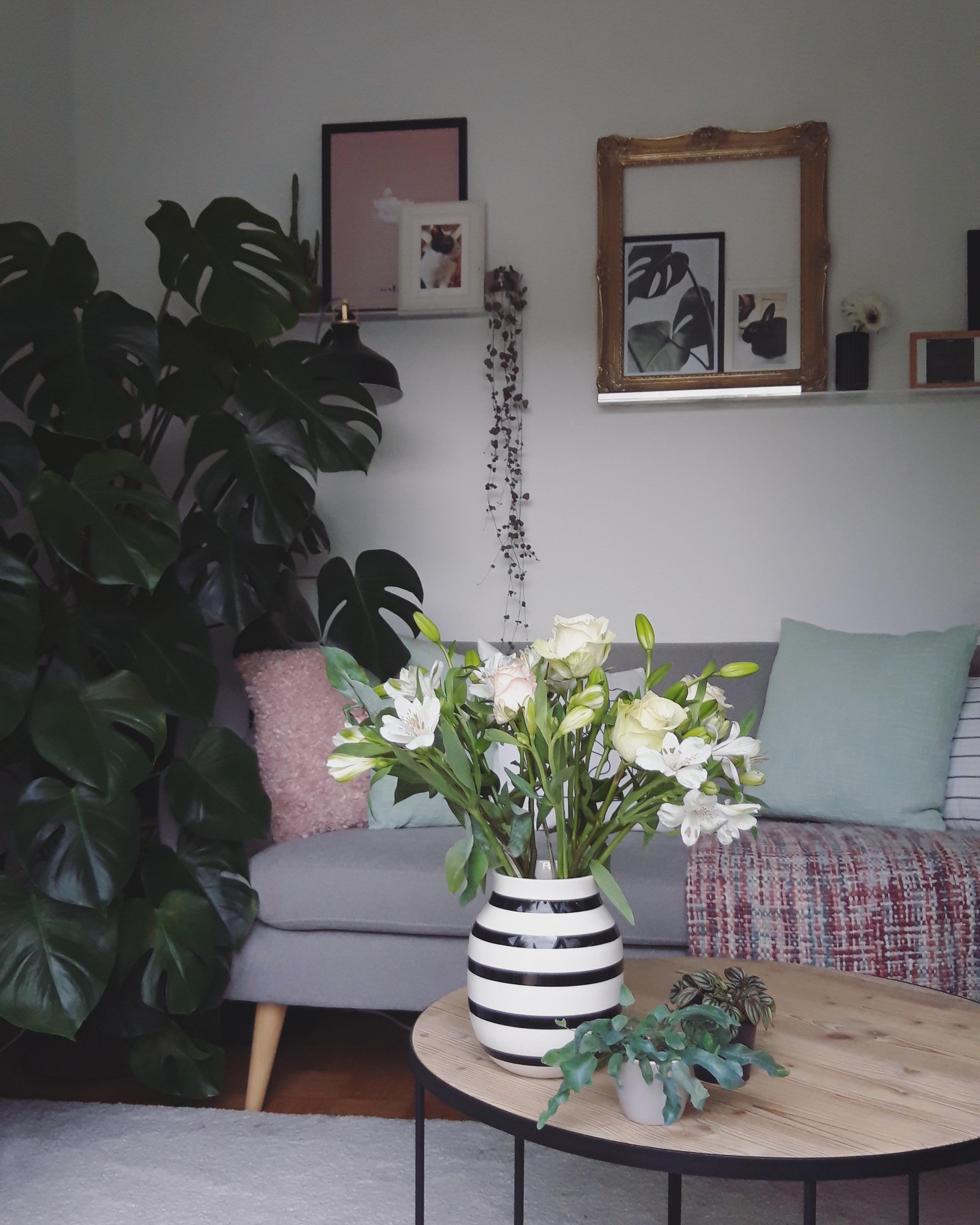 #livingroom #plants #scandi 