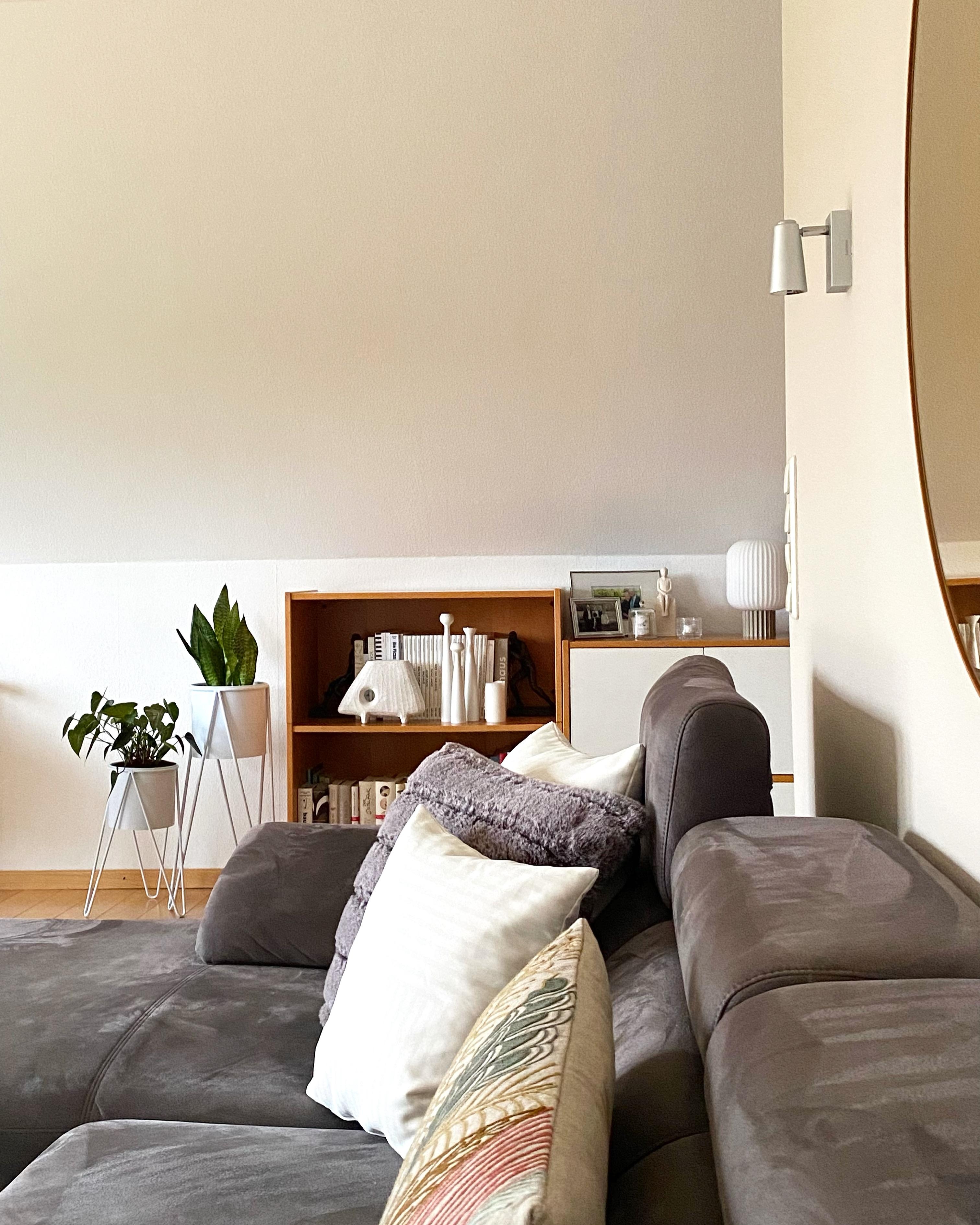 #livingroom #regal #home #cozycorner #zuhause #couc