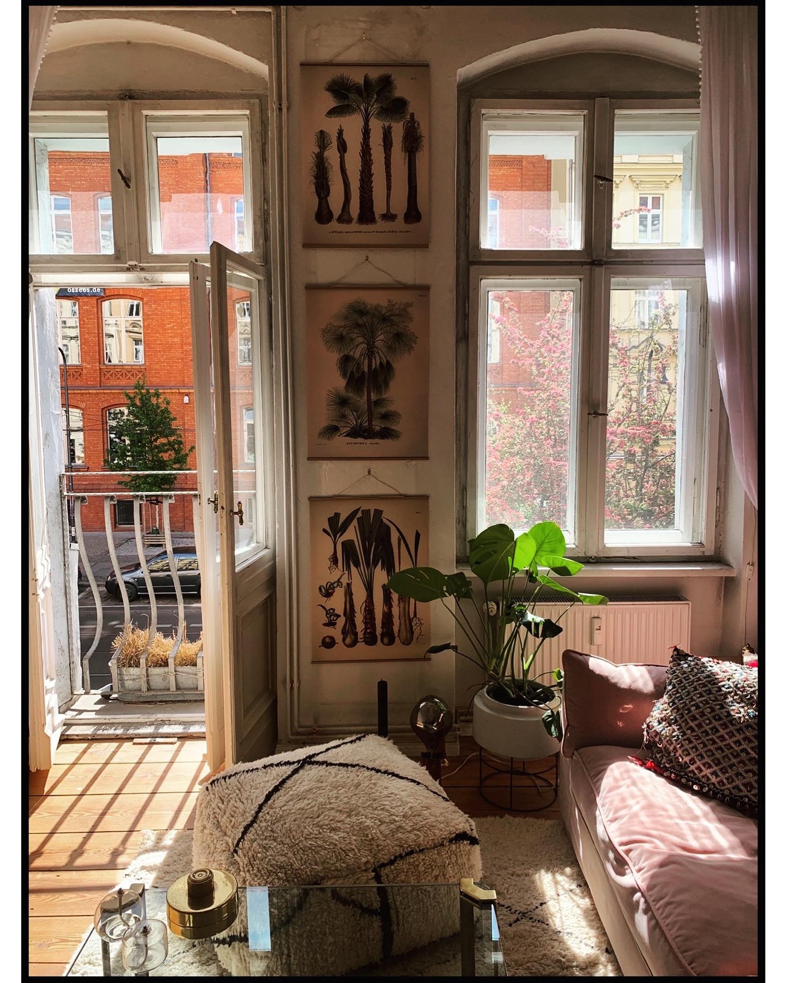 #livingroom #sun #cozy #scandi #vintage #intirior 