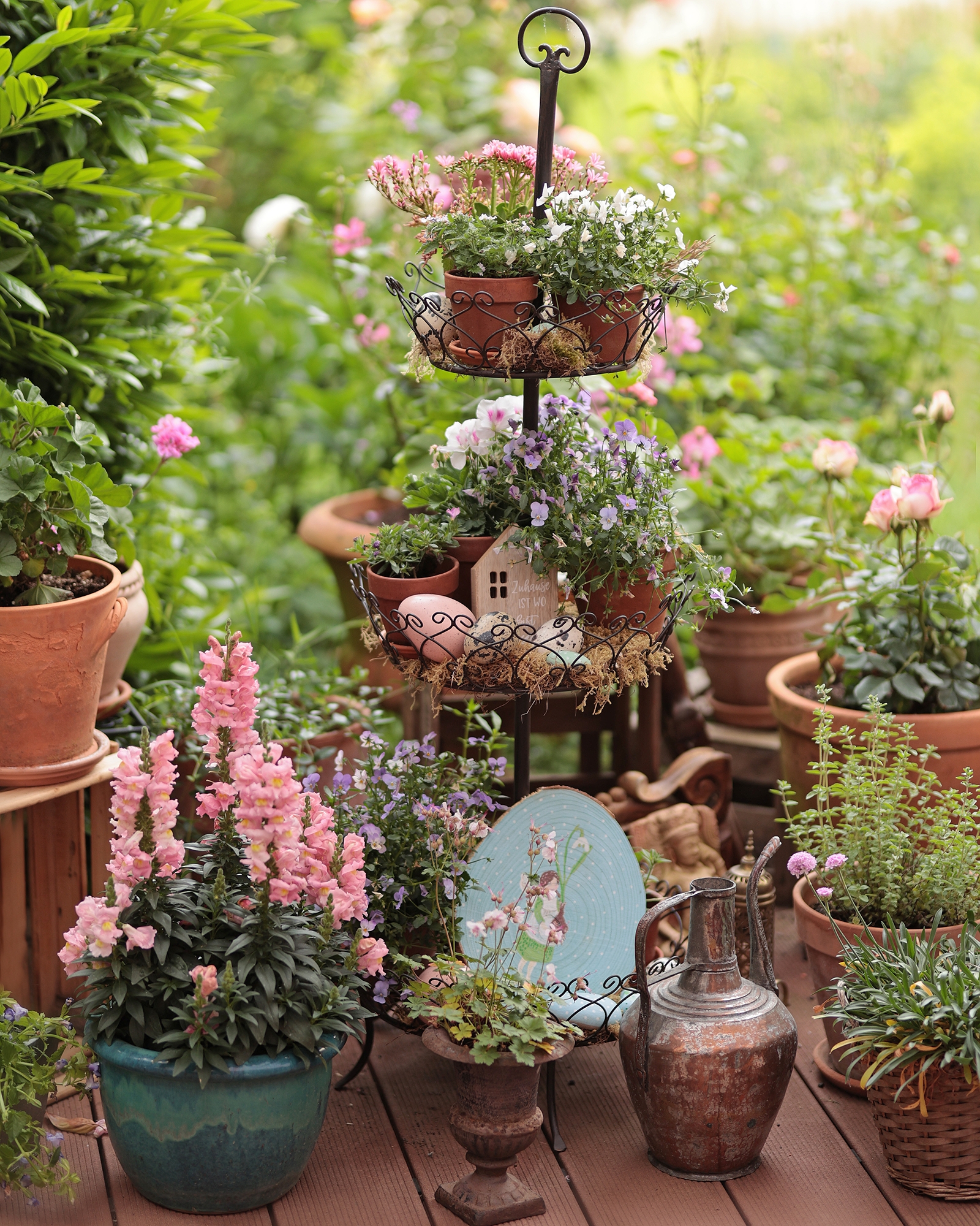 Löwenmäulchen küsst Hornveilchen #Löwenmäulchen #gartenliebe #garten #cottagegarten #blumenintöpfen 