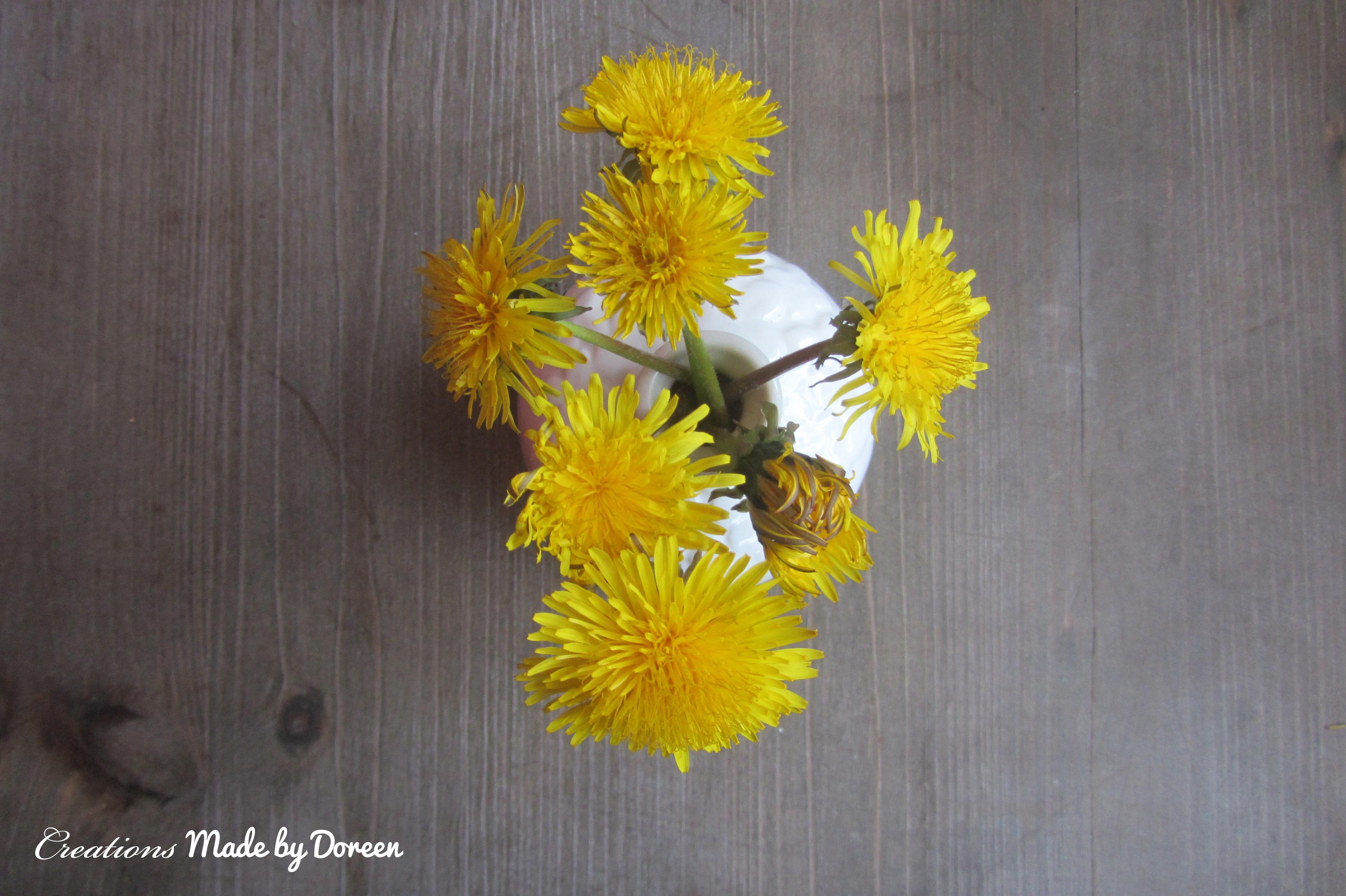 #Löwenzahn vom April - Diese Blume verzaubert uns jedes Jahr!
