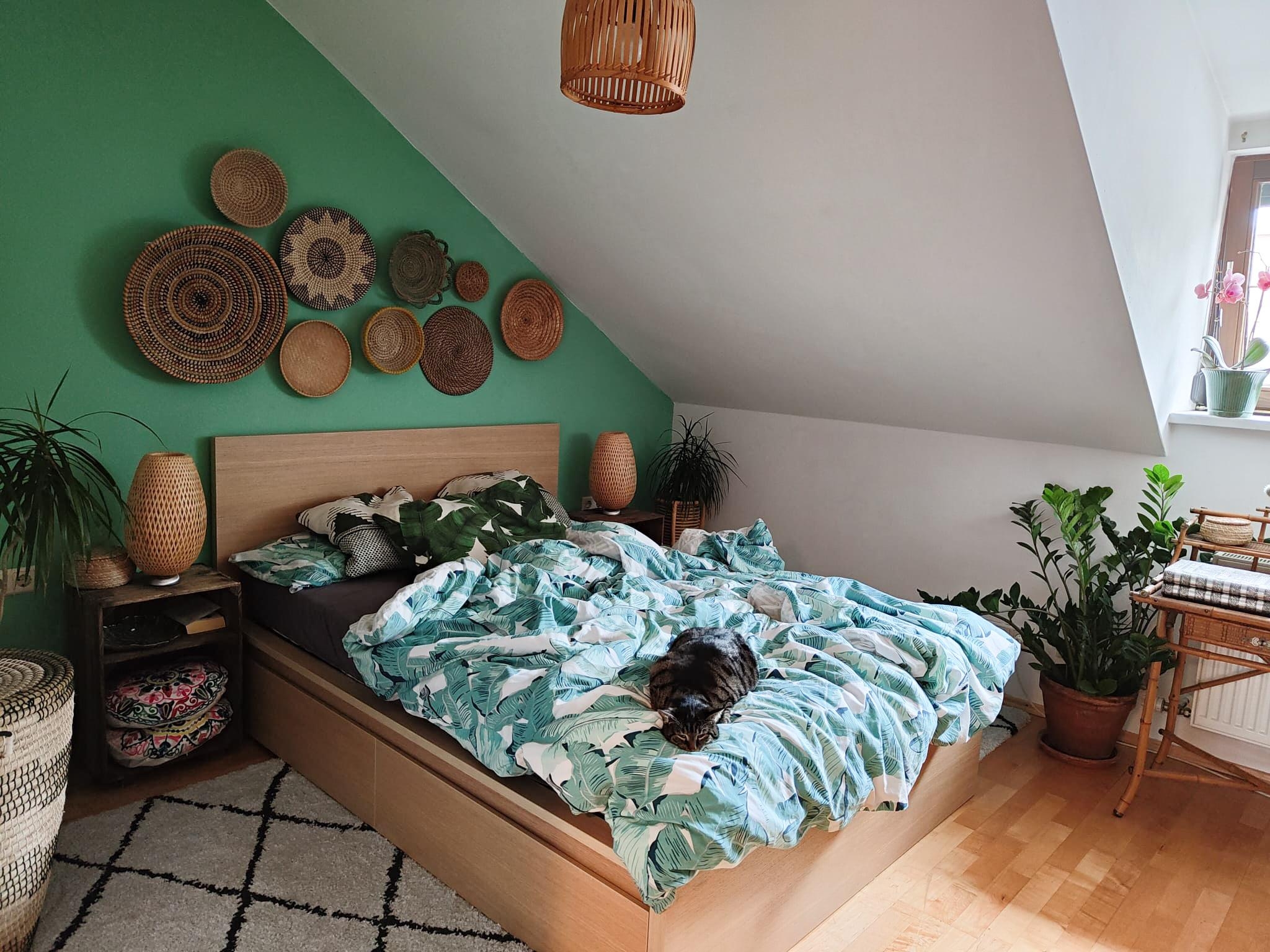Loli 🐱❤️ #bedroom #houseplants