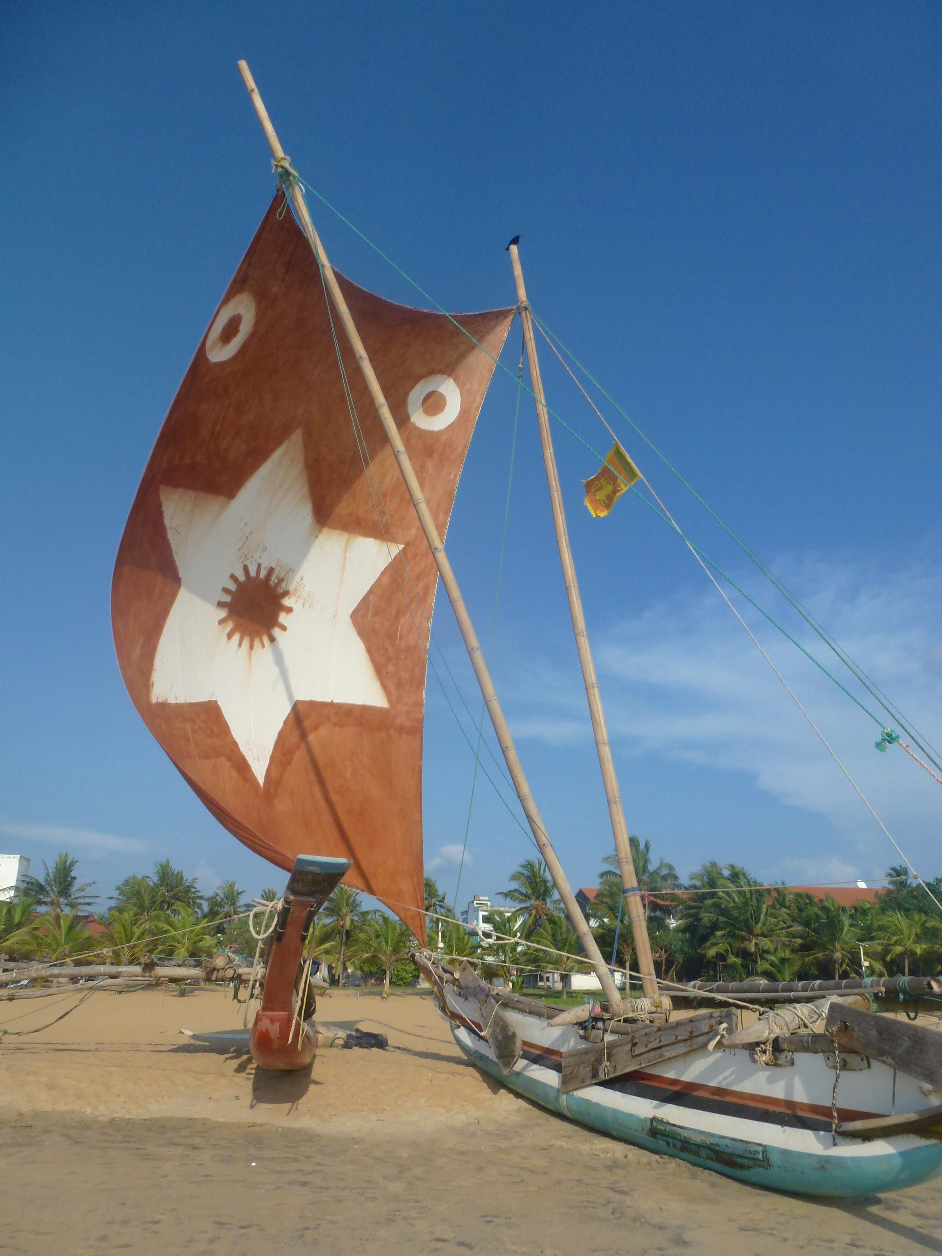 Los, lasst uns alle nach #Negombo, Boot fahren! #srilanka #travel #weltreise