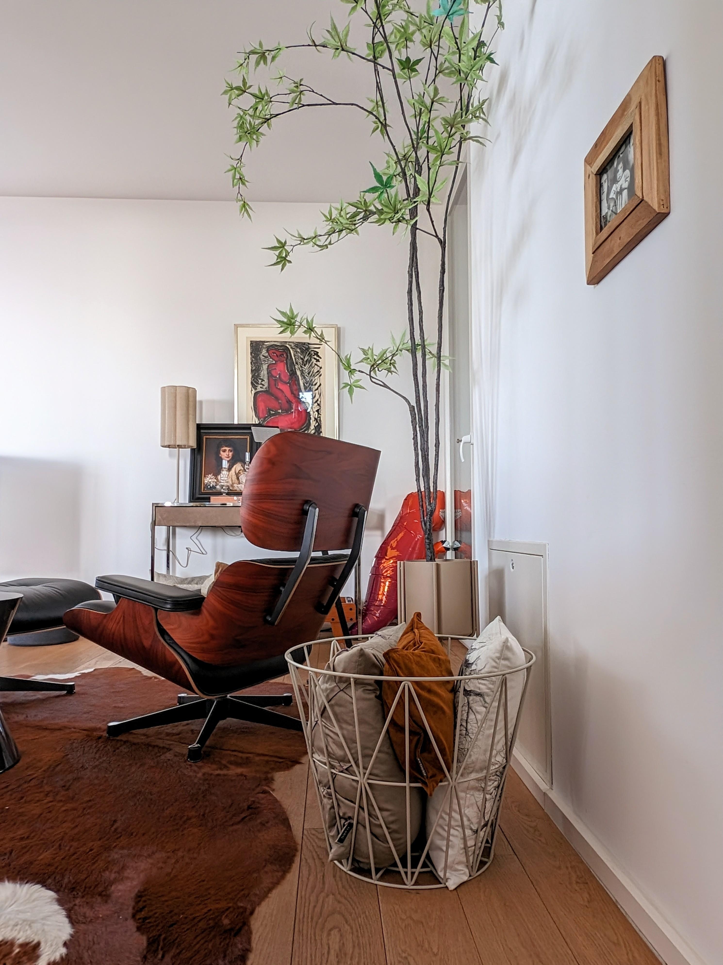 #loungechair #interiordesign #interiordesigner #homesweethome