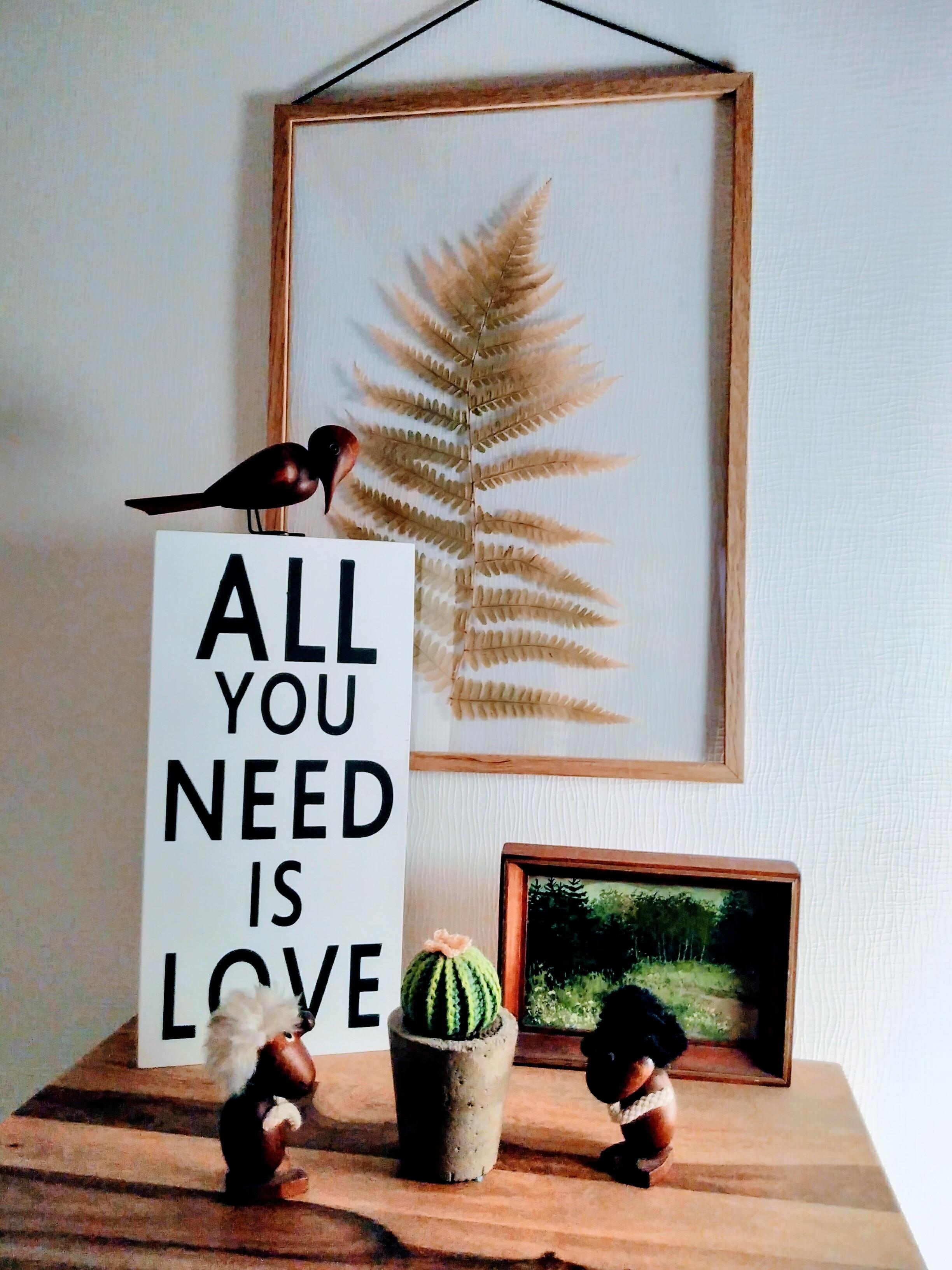 Love is all you need #wohnzimmer #retro #häkelkaktus #farn