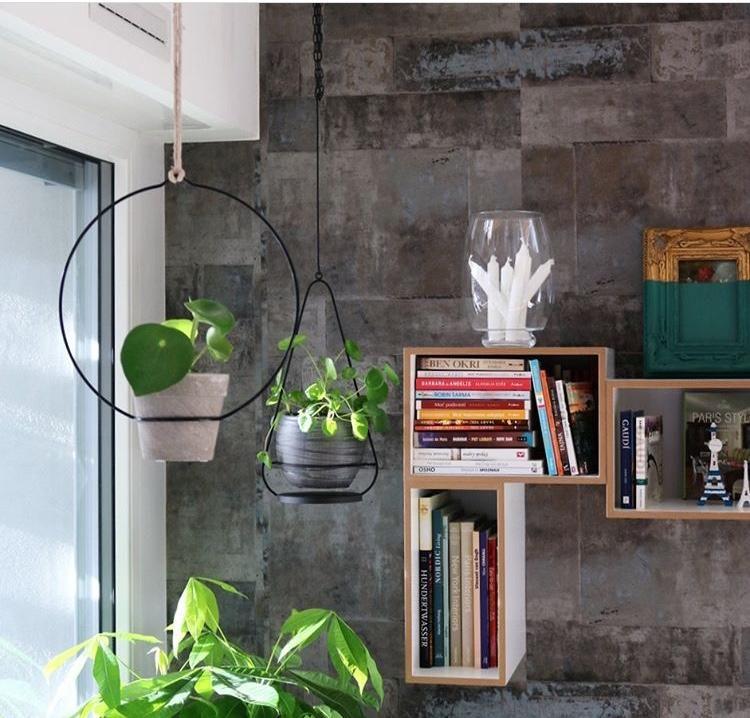 Love #pilea #wohnzimmer #pflanze #wanddeko #interior #grau #design #interiorstyling 