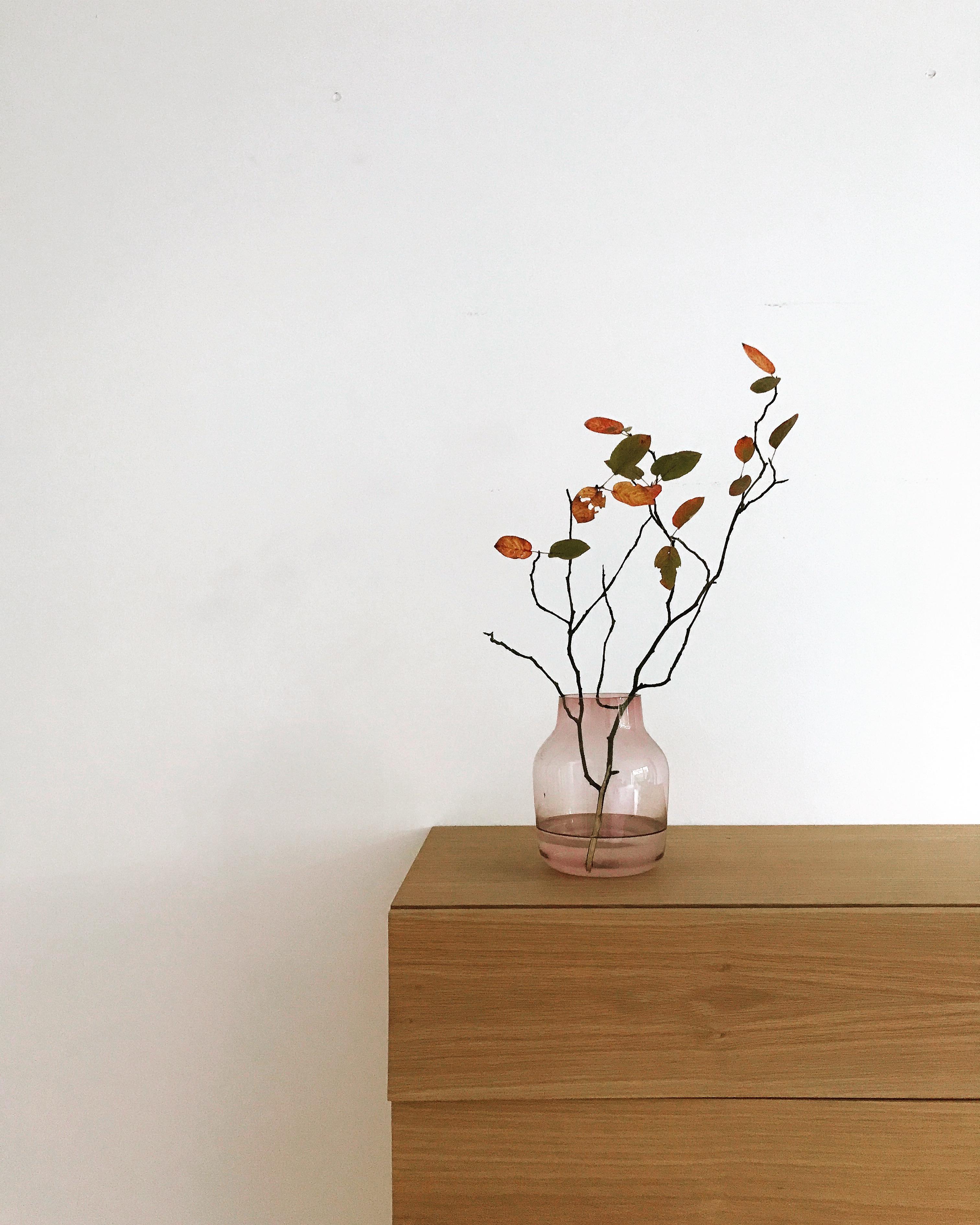 #lowbudget#herbst #minimalism #silent #decoration