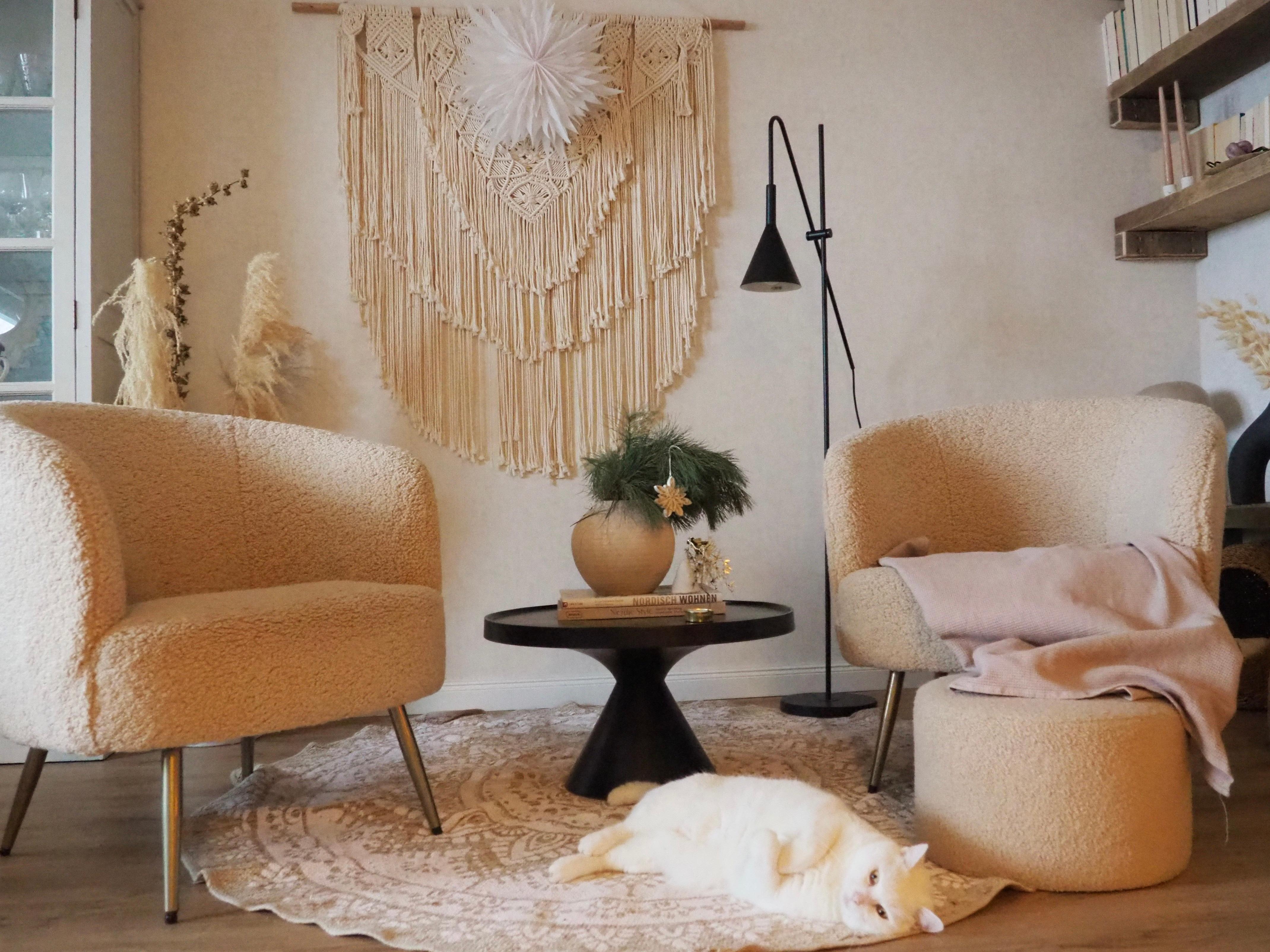 Luna 🤍 #wohnzimmer #COUCHstyle #coffeetable #dekoideen #katzenliebe